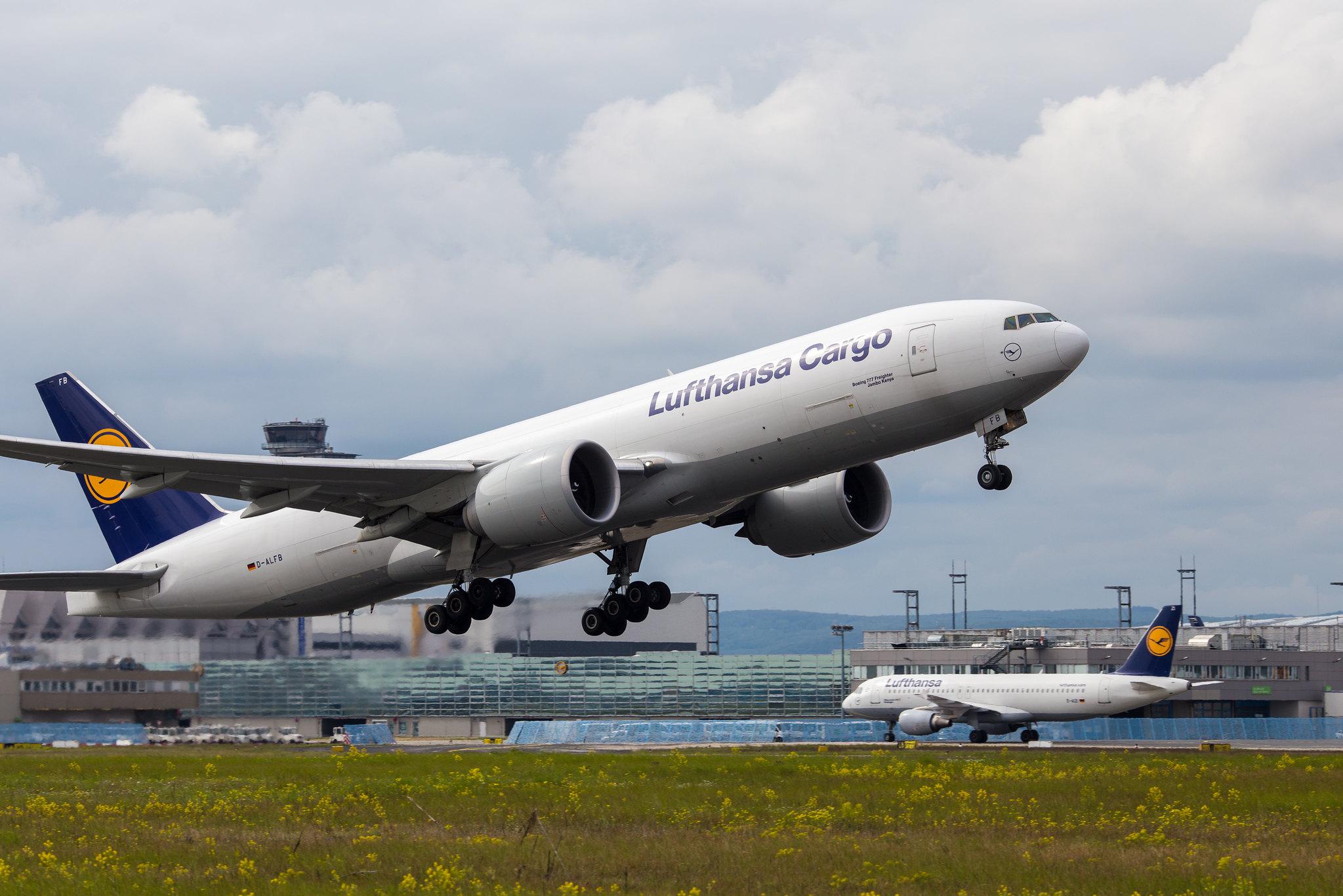 Frankfurt Airport: Lufthansa Cargo (/ GEC) |  Boeing 777-FBT B77L | D-ALFB | MSN 41675