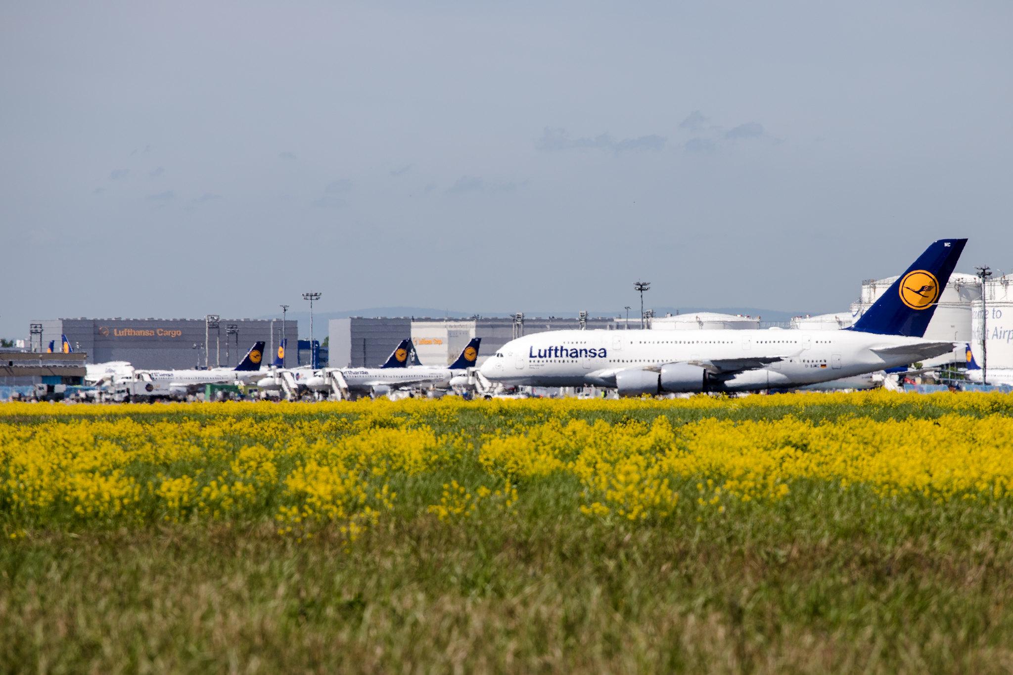 Frankfurt Airport: Lufthansa (LH / DLH) |  Airbus A380-841 A388 | D-AIMC | MSN 044