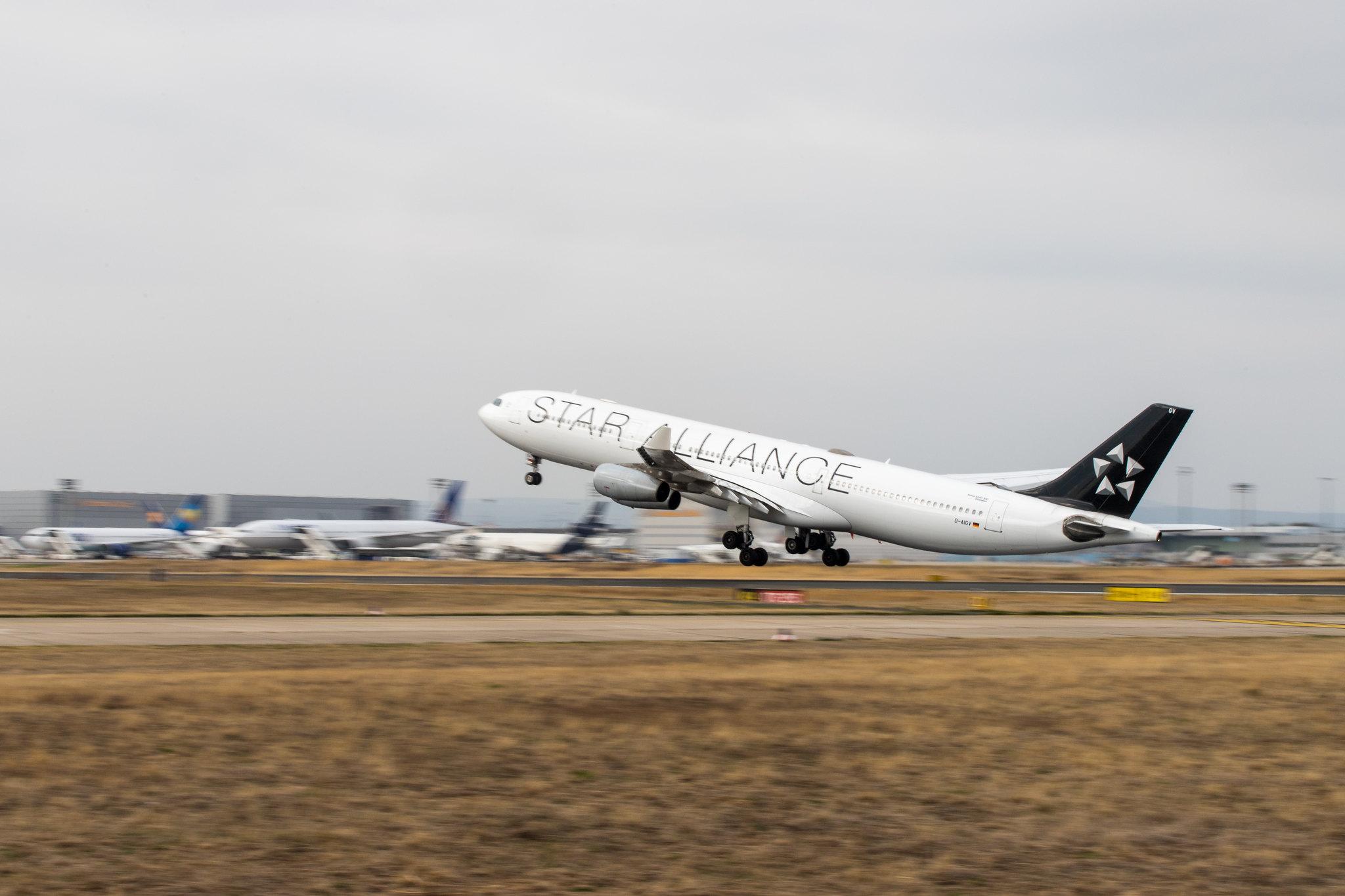 Frankfurt Airport: Lufthansa (LH / DLH) |  Livery: Star Alliance Livery |  Airbus A340-313 A343 | D-AIGV | MSN 0325