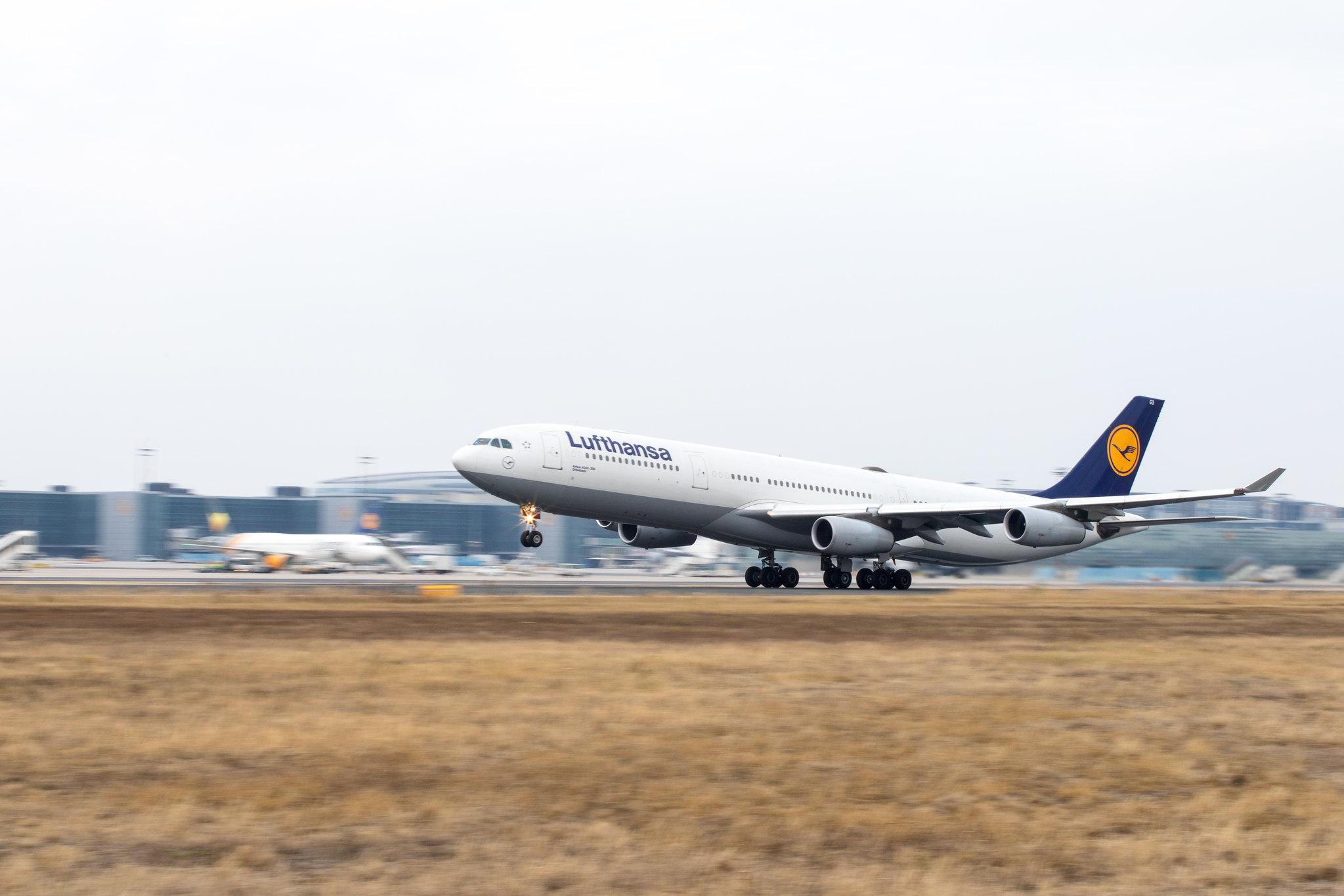 Frankfurt Airport: Lufthansa (LH / DLH) |  Airbus A340-313 A343 | D-AIGO | MSN 0233