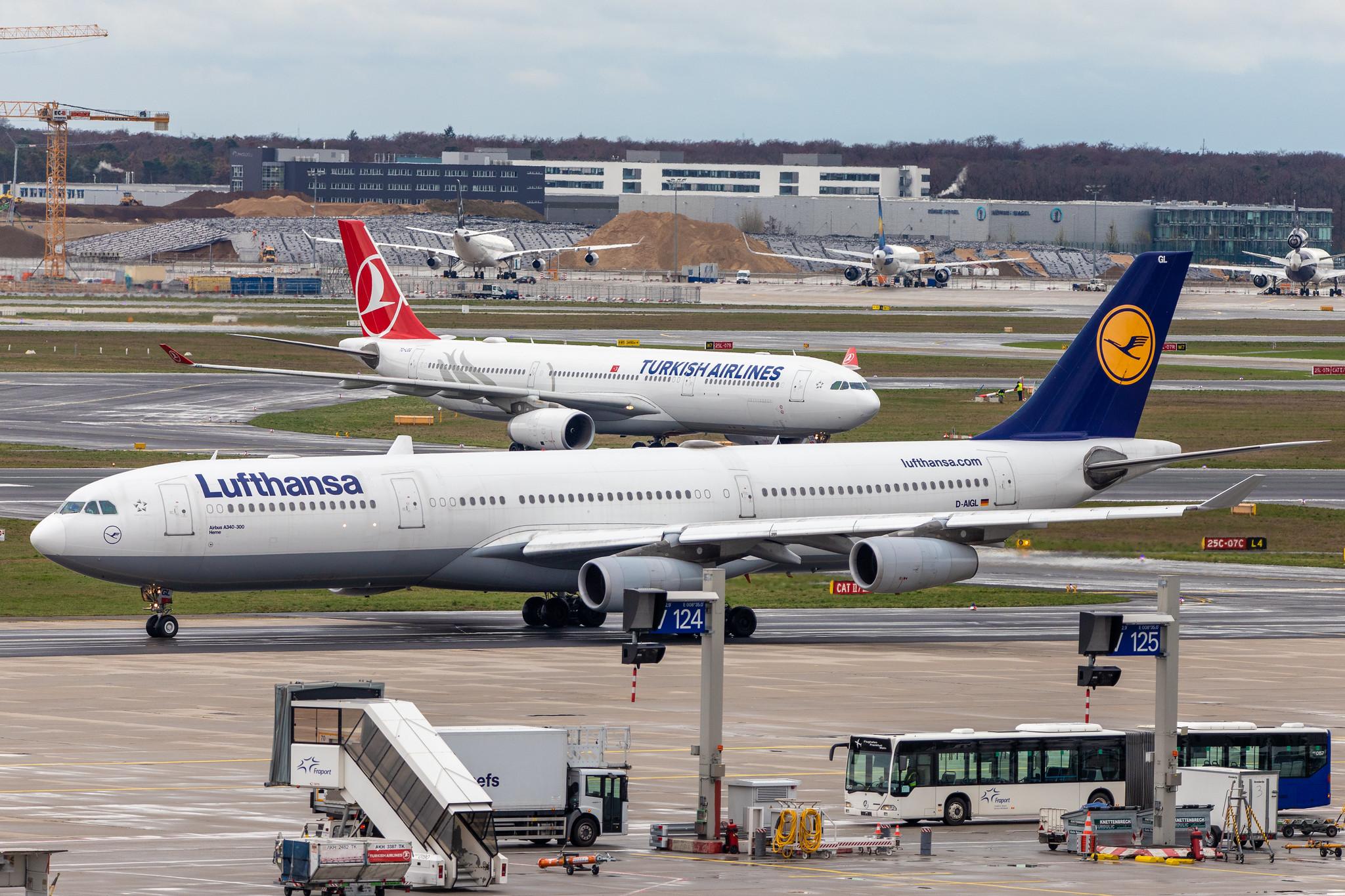Frankfurt Airport: Lufthansa (LH / DLH) |  Airbus A340-313 A343 | D-AIGL | MSN 0135