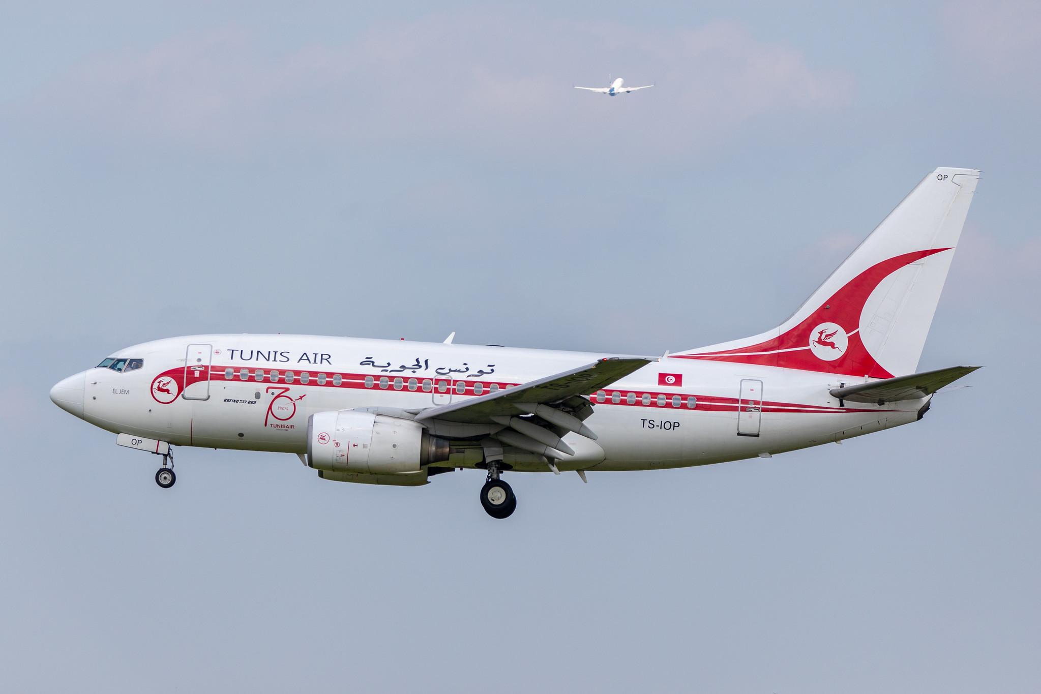 Hamburg Airport: Tunisair (TU / TAR) |  Livery: Retro Livery |  Boeing 737-6H3 B736 | TS-IOP | MSN 29500