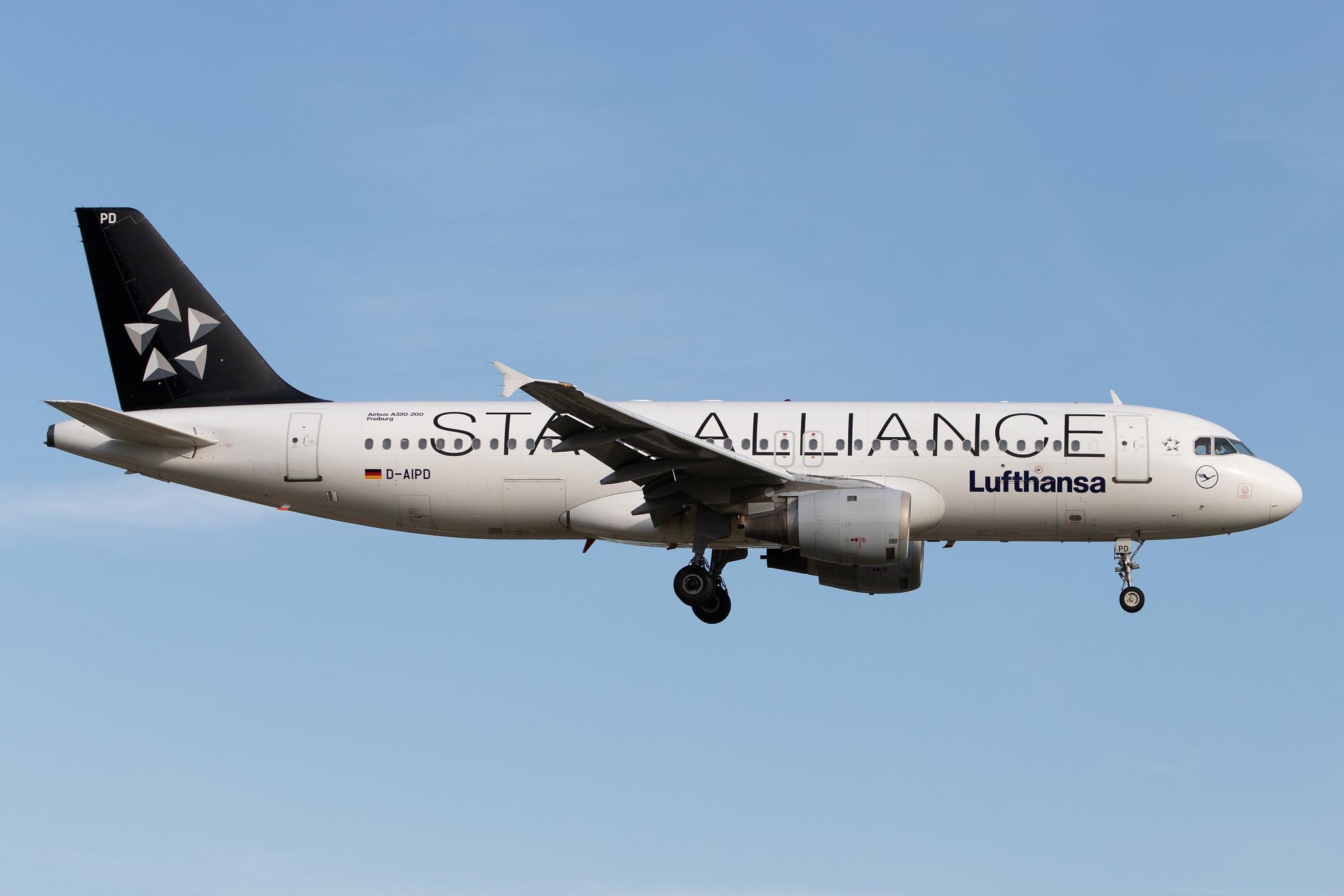 Hamburg Airport: Lufthansa (LH / DLH) |  Livery: Star Alliance Livery |  Airbus A320-211 A320 | D-AIPD | MSN 0072