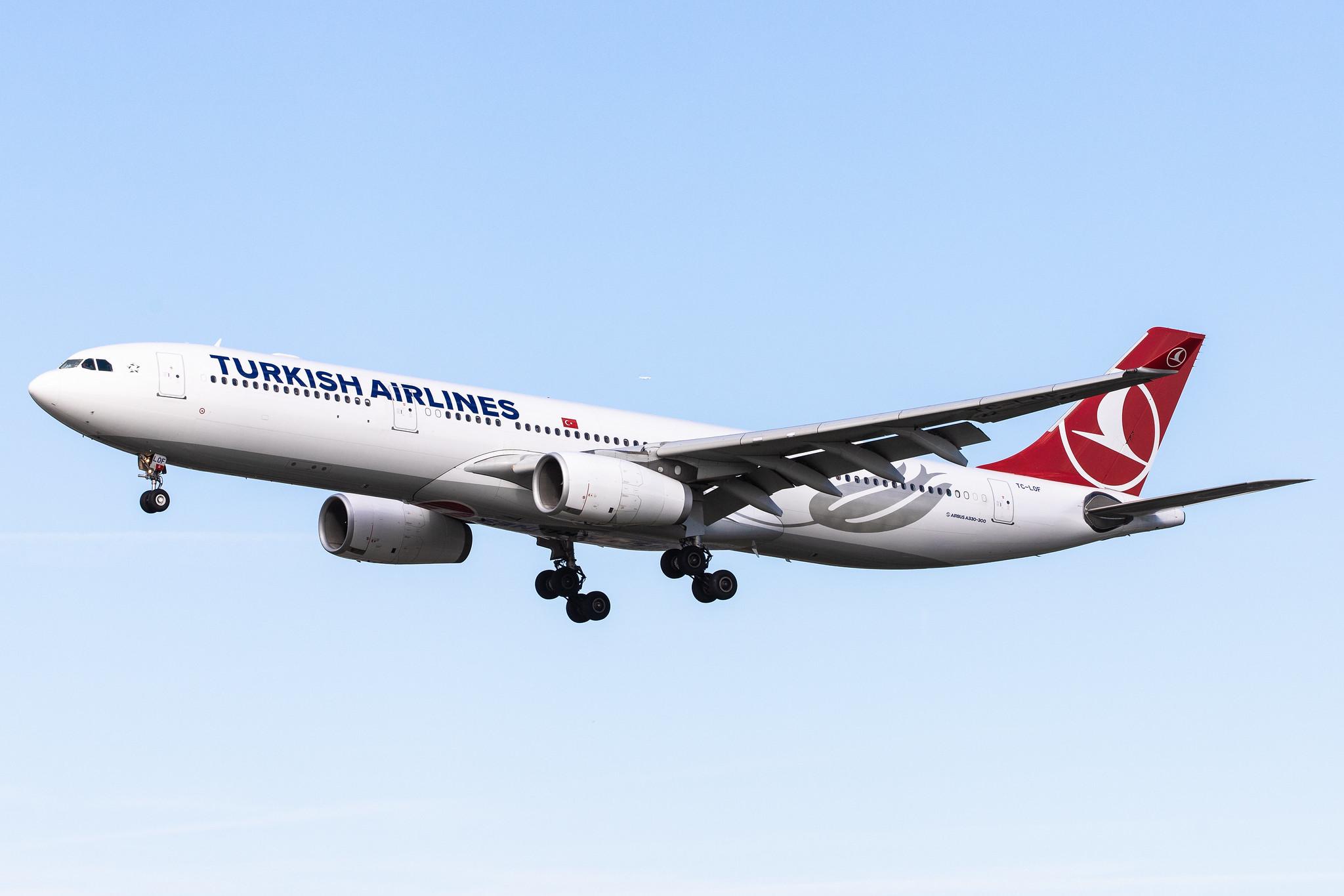 Frankfurt Airport: Turkish Airlines (TK / THY) |  Airbus A330-343 A333 | TC-LOF | MSN 1635