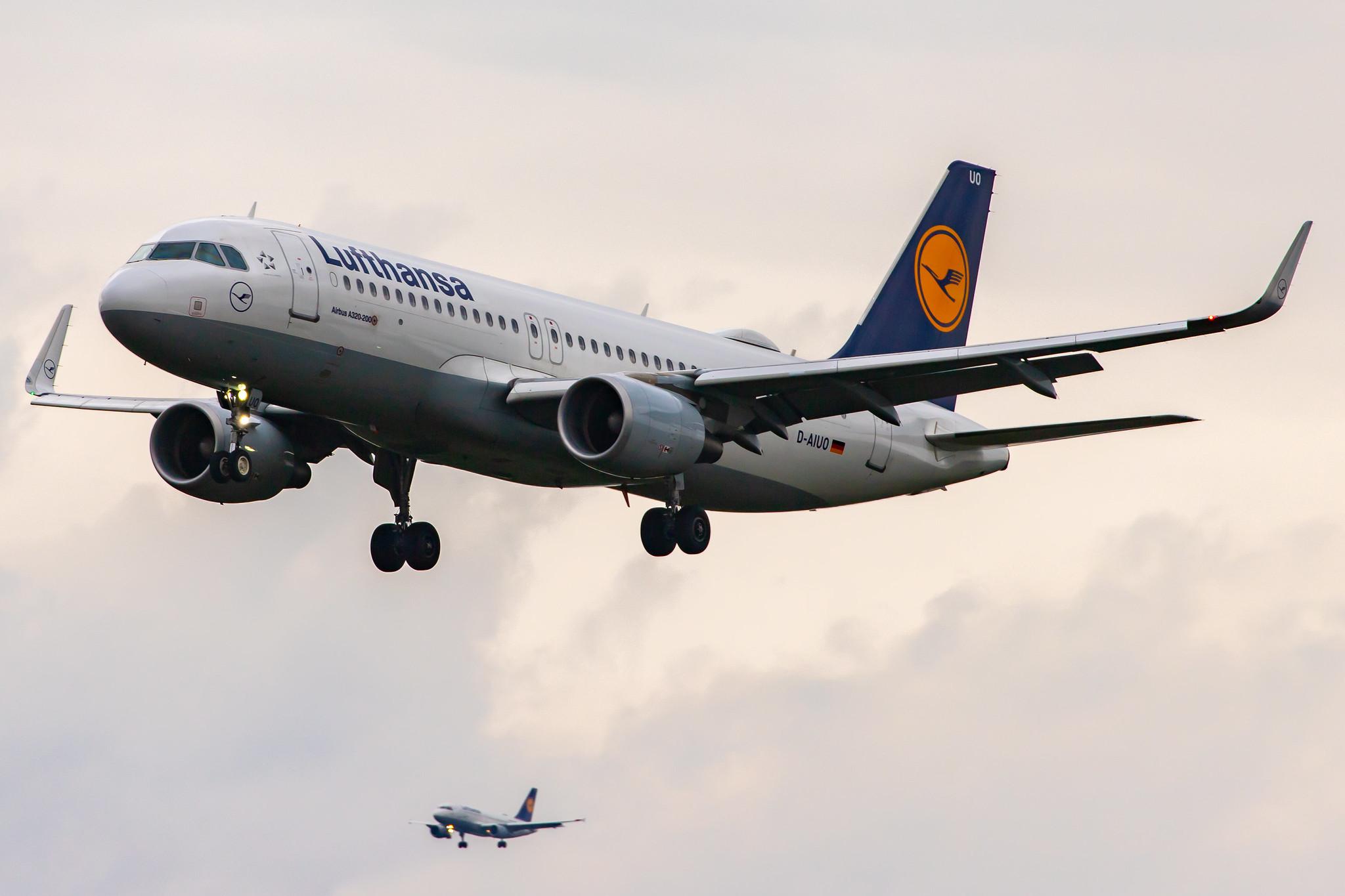 Frankfurt Airport: Lufthansa (LH / DLH) |  Airbus A320-214 A320 | D-AIUO | MSN 6636