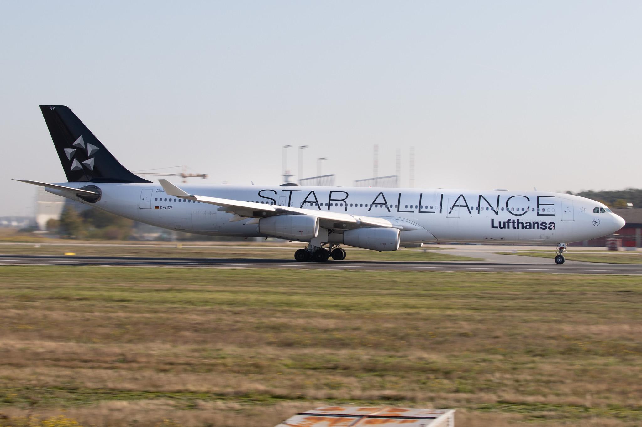 Frankfurt Airport: Lufthansa (LH / DLH) |  Livery: Star Alliance Livery |  Airbus A340-313 A343 | D-AIGV | MSN 0325