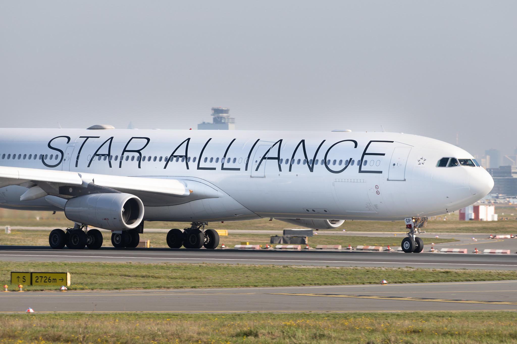 Frankfurt Airport: Lufthansa (LH / DLH) |  Livery: Star Alliance Livery | Operator: Lufthansa CityLine |  Airbus A340-313 A343 | D-AIGP | MSN 0252