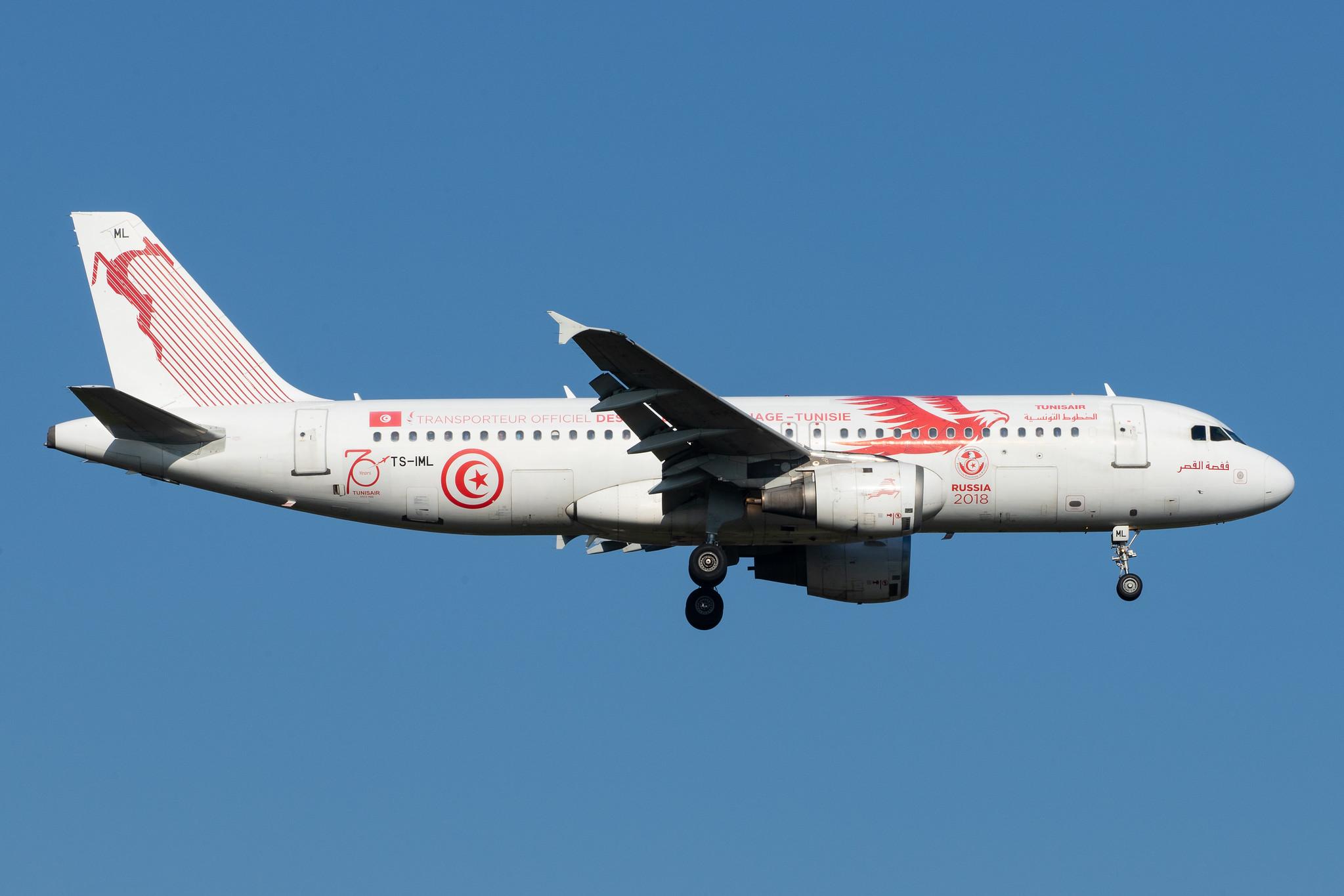 Frankfurt Airport: Tunisair (TU / TAR) |  Livery: Carthage Eagles FIFA 2018 Livery |  Airbus A320-211 A320 | TS-IML | MSN 0958