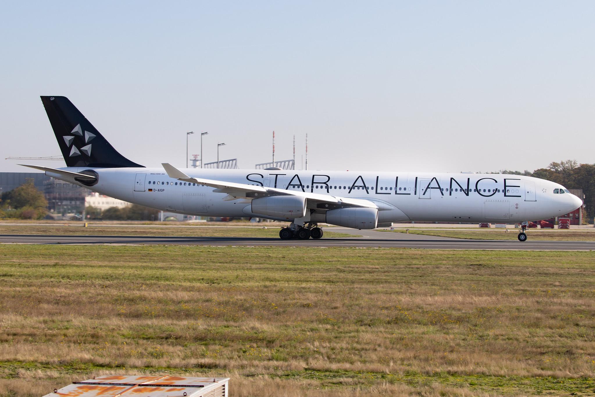 Frankfurt Airport: Lufthansa (LH / DLH) |  Livery: Star Alliance Livery | Operator: Lufthansa CityLine |  Airbus A340-313 A343 | D-AIGP | MSN 0252