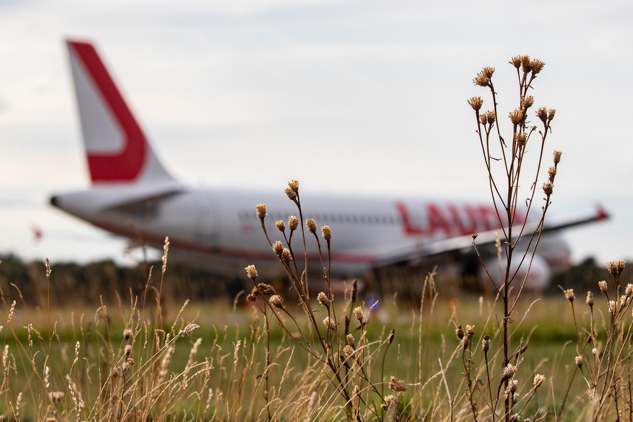 Düsseldorf Airport: Laudamotion (OE / LDM) |  Airbus A320-232 A320 | OE-IHL | MSN 3105