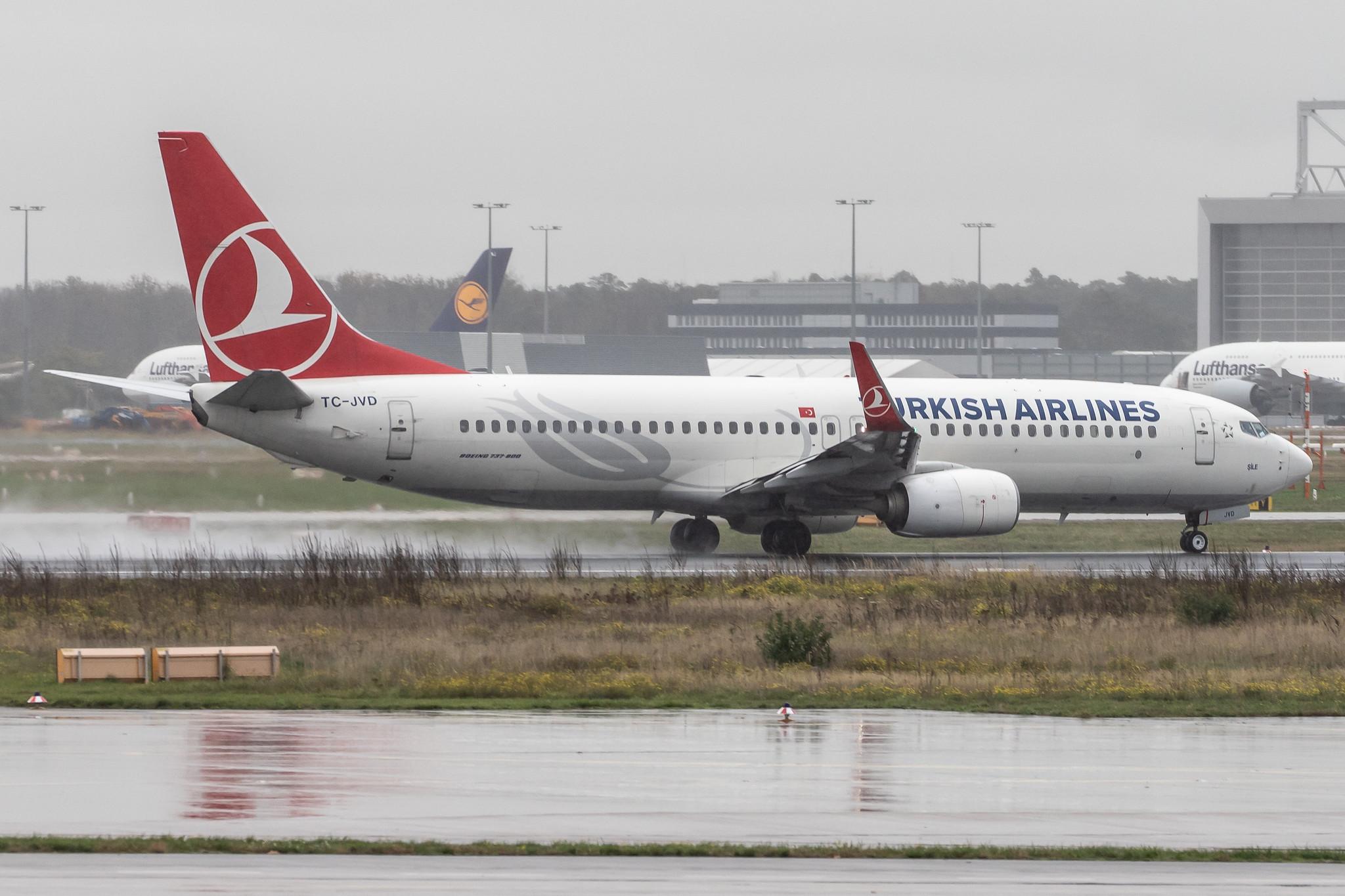 Frankfurt Airport: Turkish Airlines (TK / THY) |  Boeing 737-8F2 B738 | TC-JVD | MSN 42007