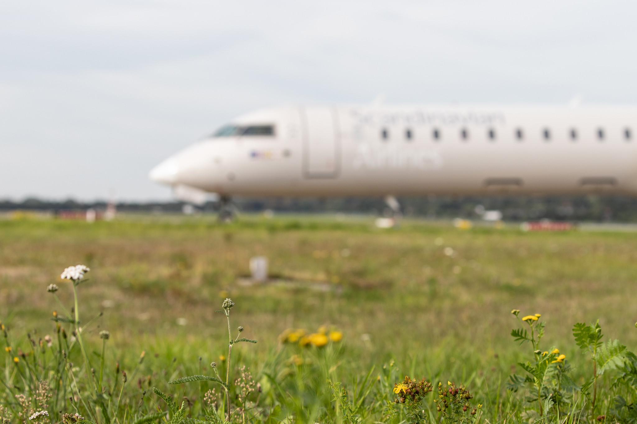 Hamburg Airport: SAS (SK / SAS) | Operator: Cityjet |  Bombardier CRJ-900LR CRJ9 | EI-FPD | MSN 15401