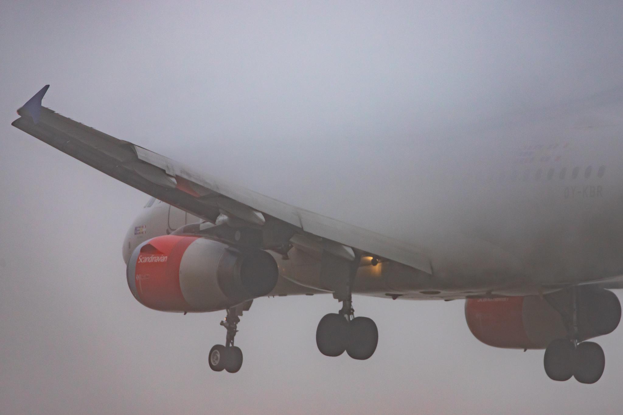 Frankfurt Airport: SAS (SK / SAS) |  Airbus A319-131 A319 | OY-KBR | MSN 3200