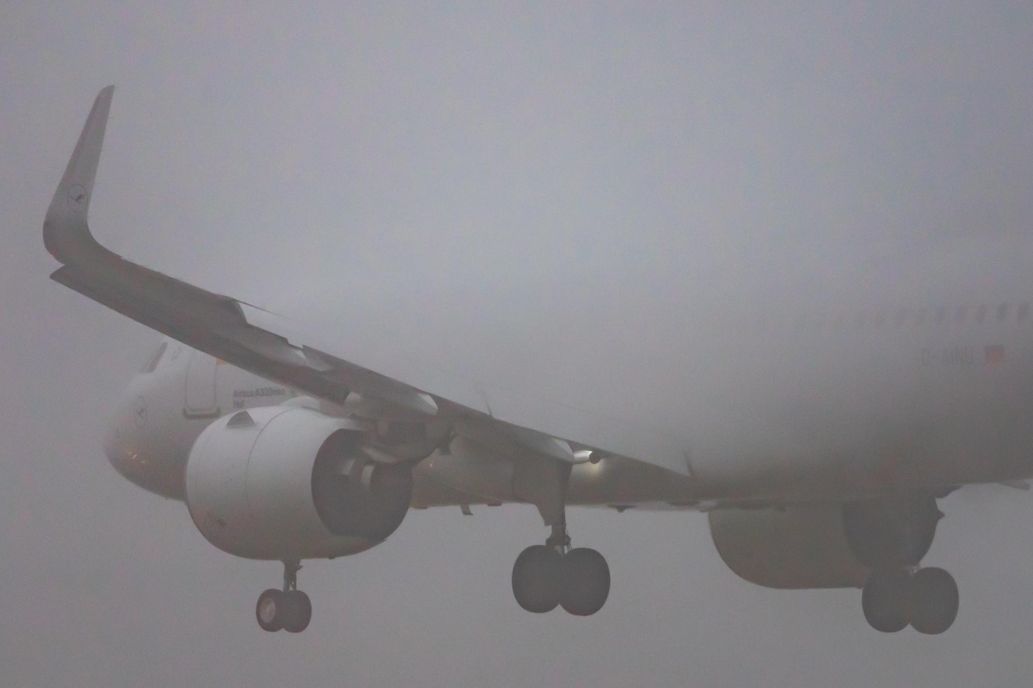 Frankfurt Airport: Lufthansa (LH / DLH) |  Airbus A320-271N A20N | D-AINU | MSN 8728