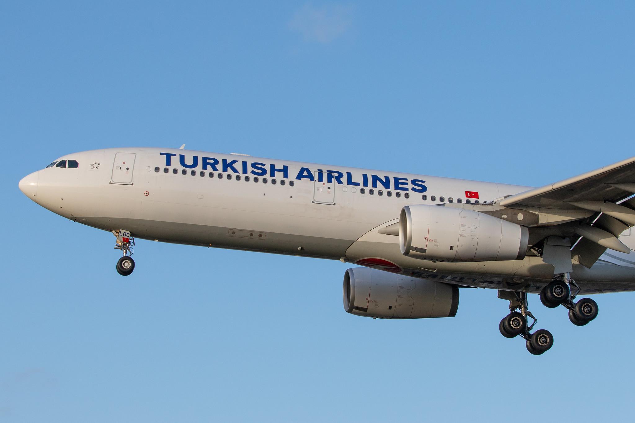 London Heathrow Airport: Turkish Airlines (TK / THY) |  Airbus A330-343 A333 | TC-LOC | MSN 1542