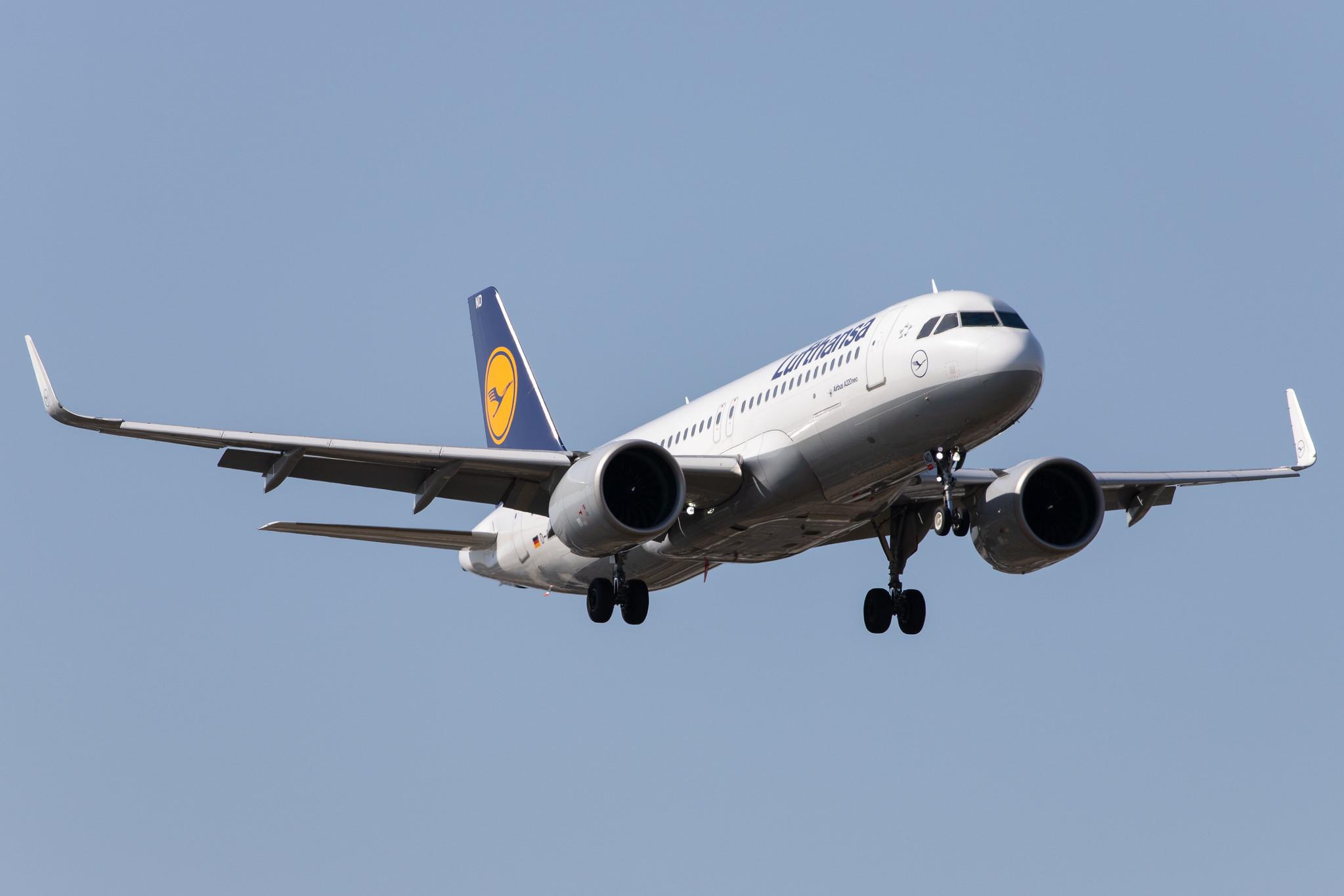 Frankfurt Airport: Lufthansa (LH / DLH) |  Airbus A320-271N A20N | D-AIND | MSN 7078