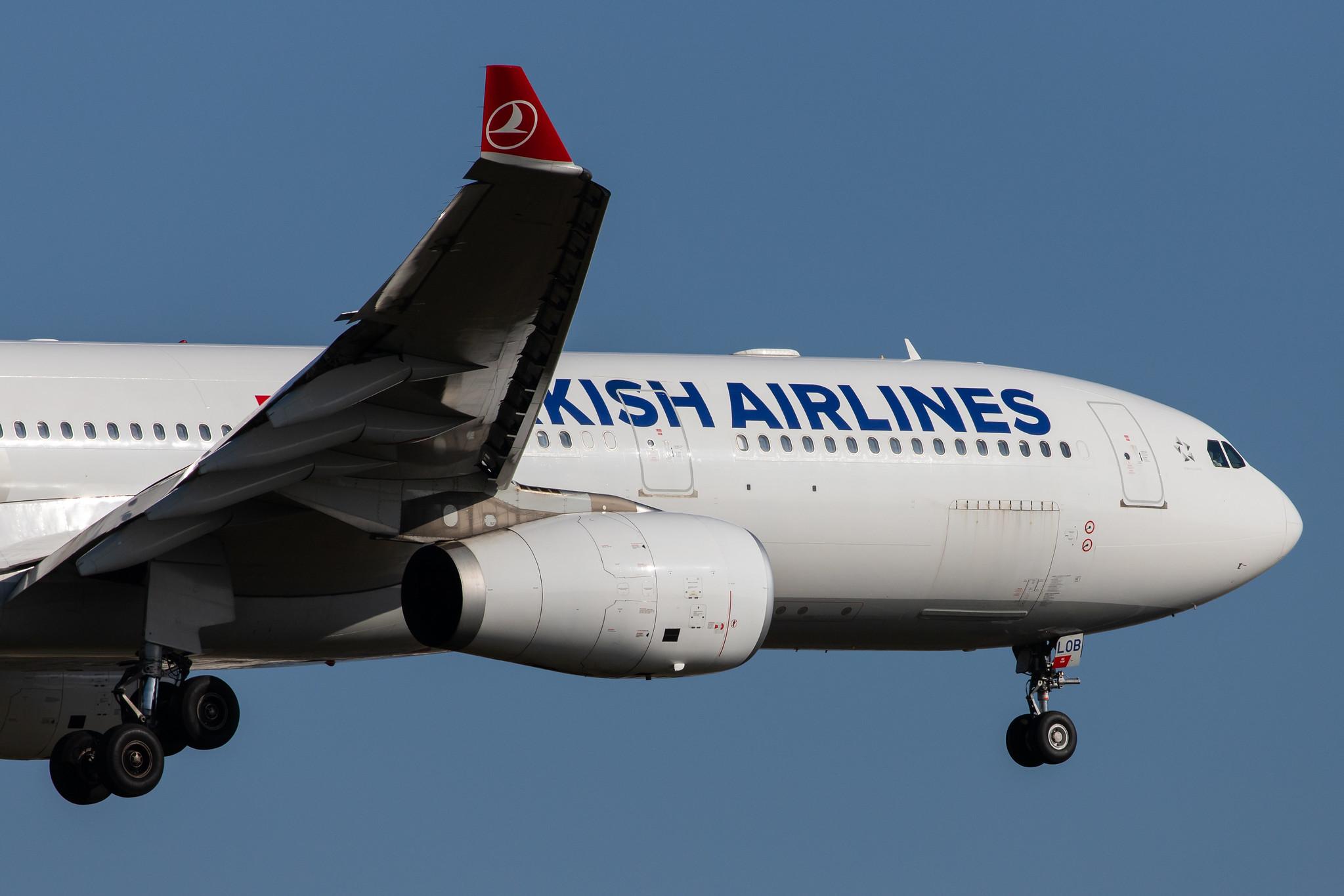 Frankfurt Airport: Turkish Airlines (TK / THY) |  Airbus A330-343 A333 | TC-LOB | MSN 1491