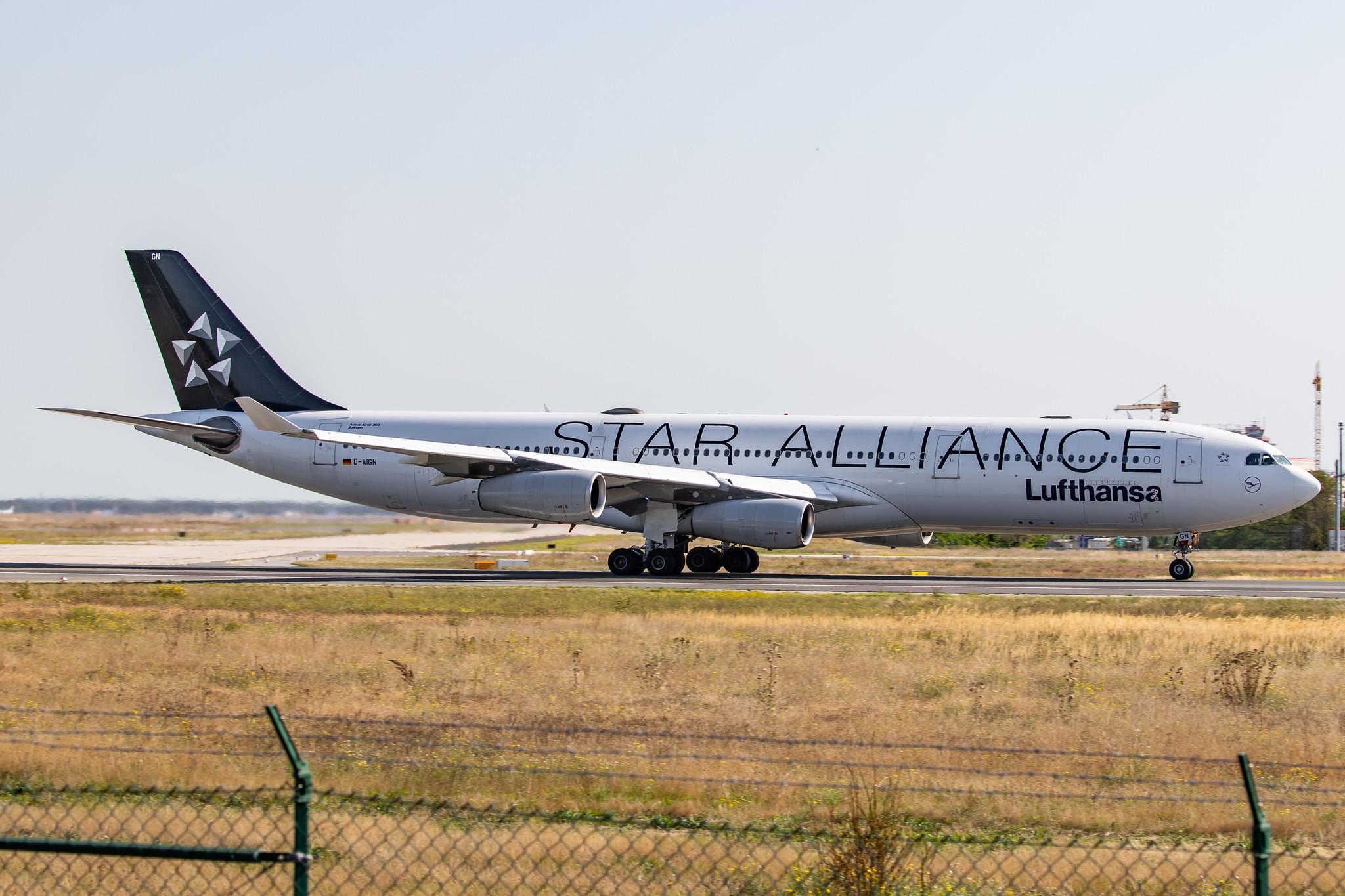 Frankfurt Airport: Lufthansa (LH / DLH) |  Livery: Star Alliance Livery |  Airbus A340-313 A343 | D-AIGN | MSN 0213