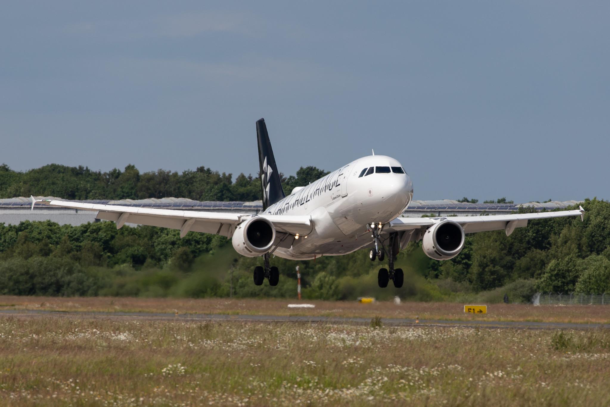 Hamburg Airport: Lufthansa (LH / DLH) |  Livery: Star Alliance Livery | Operator: Lufthansa CityLine |  Airbus A319-114 A319 | D-AILS | MSN 0729