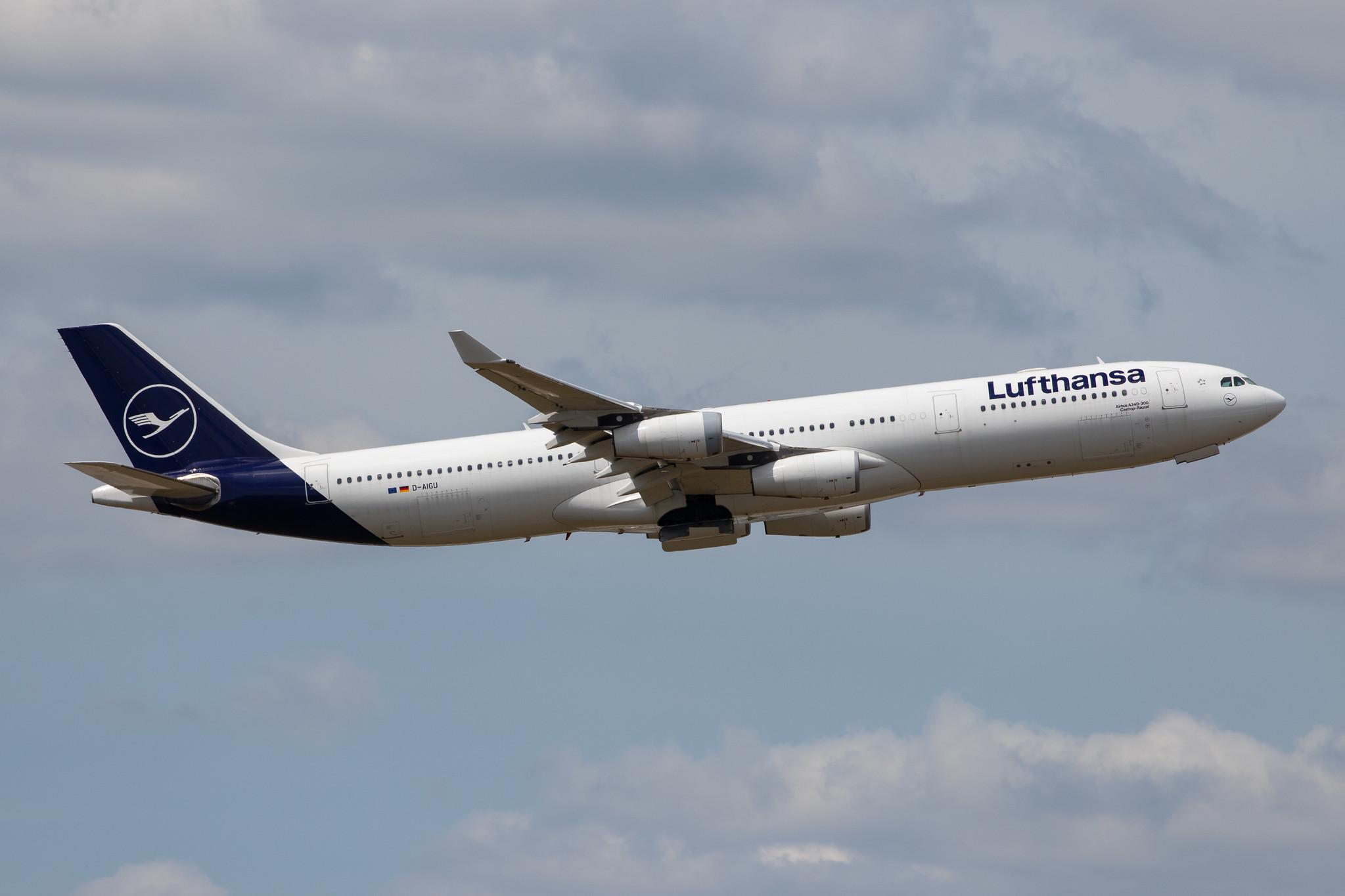 Frankfurt Airport: Lufthansa (LH / DLH) |  Airbus A340-313 A343 | D-AIGU | MSN 0321