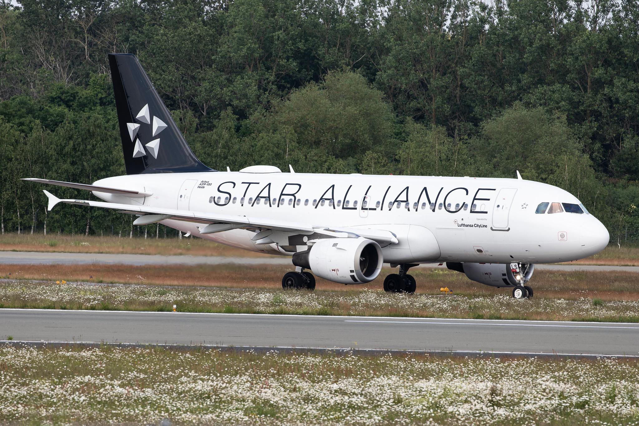 Hamburg Airport: Lufthansa (LH / DLH) |  Livery: Star Alliance Livery | Operator: Lufthansa CityLine |  Airbus A319-114 A319 | D-AILS | MSN 0729