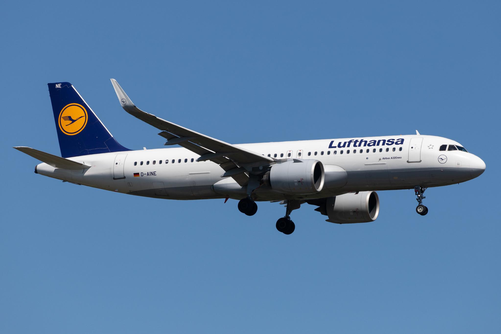 Frankfurt Airport: Lufthansa (LH / DLH) |  Airbus A320-271N A20N | D-AINE | MSN 7103