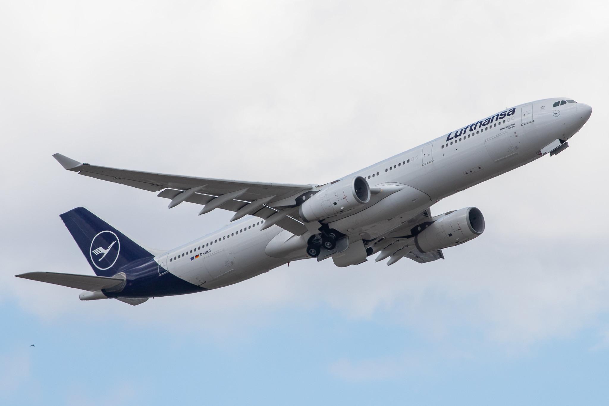 Frankfurt Airport: Lufthansa (LH / DLH) |  Airbus A330-343 A333 | D-AIKQ | MSN 1305