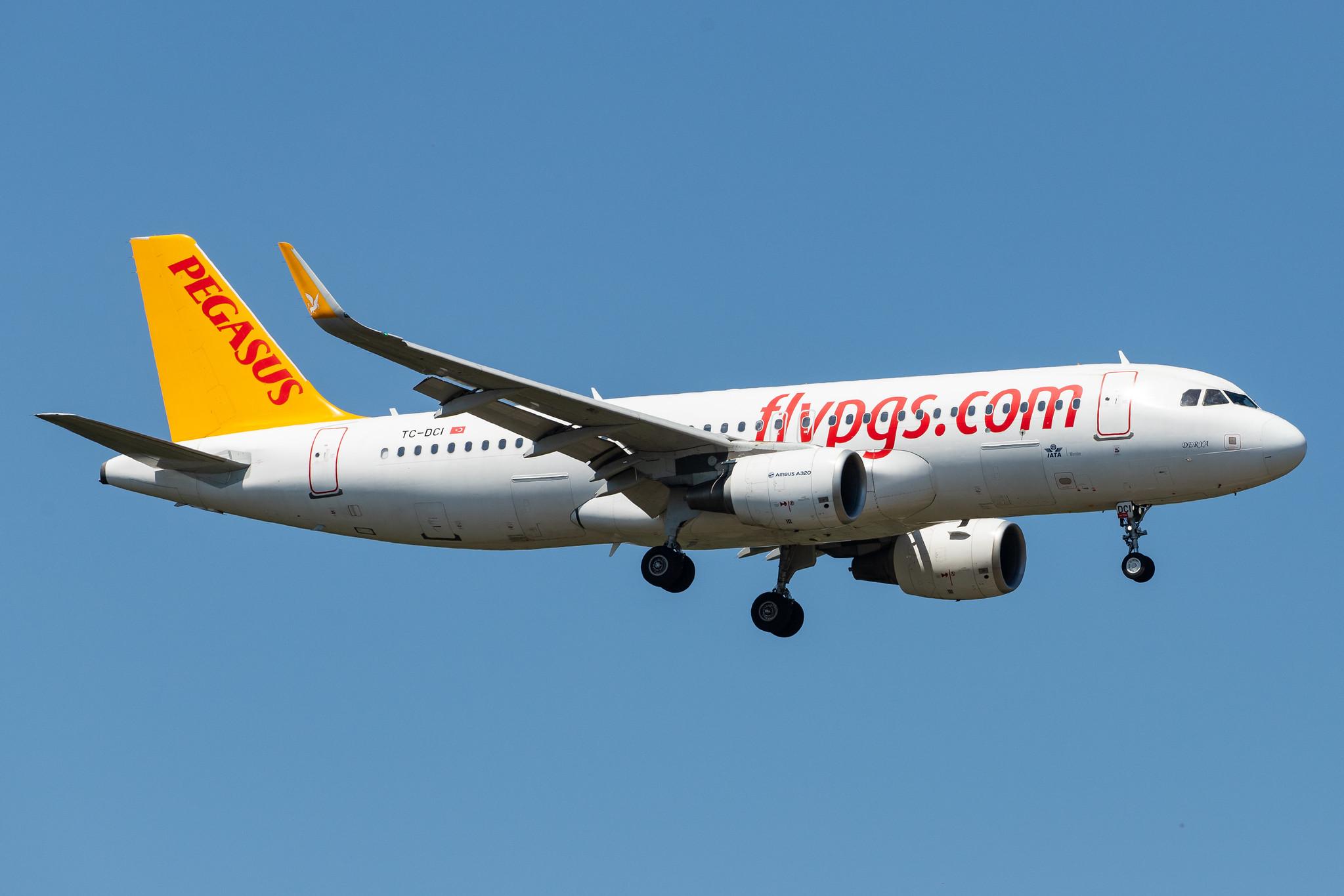 Frankfurt Airport: Pegasus Airlines (PC / PGT) |  Airbus A320-216 A320 | TC-DCI | MSN 6666