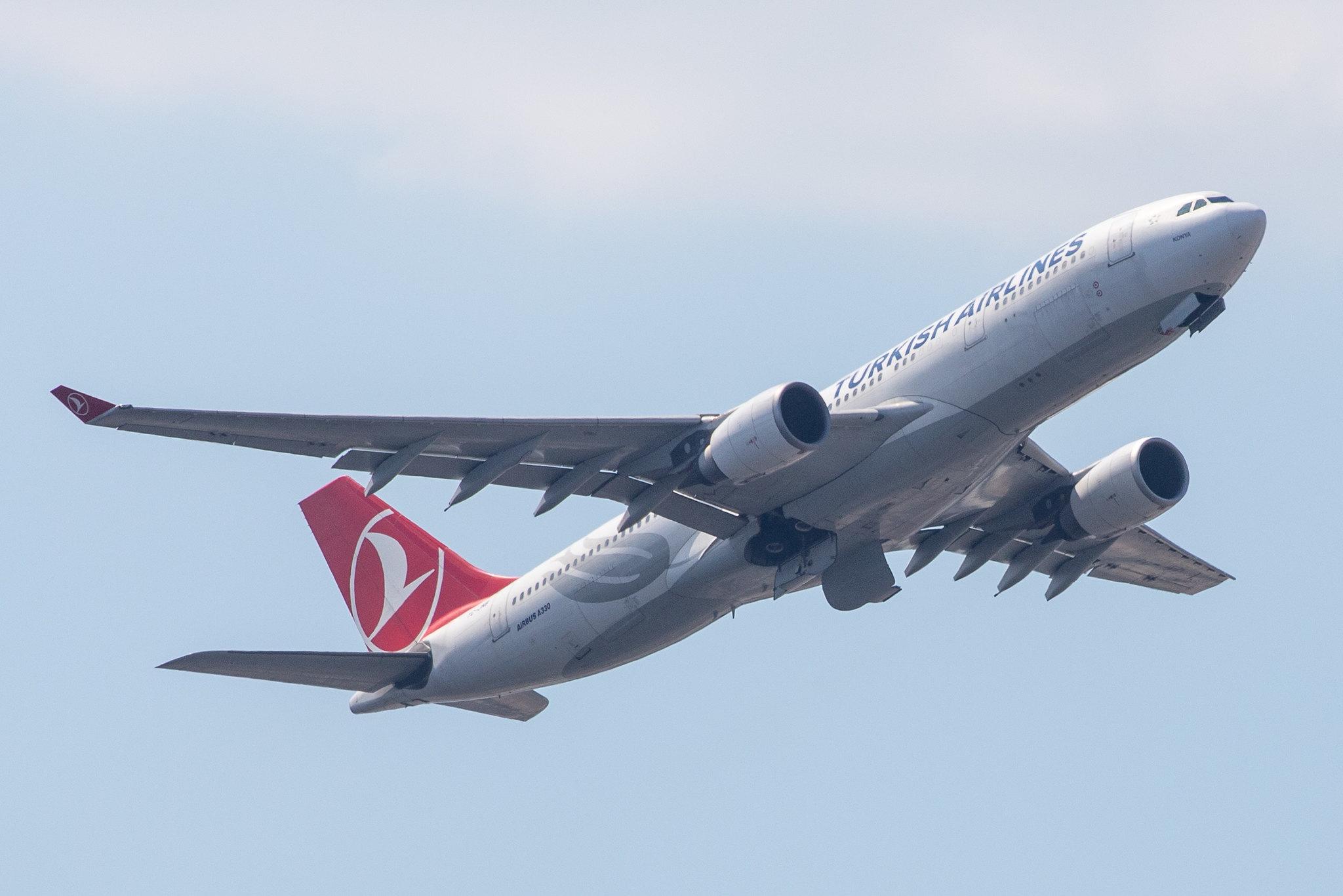 Frankfurt Airport: Turkish Airlines (TK / THY) |  Airbus A330-203 A332 | TC-JNB | MSN 0704