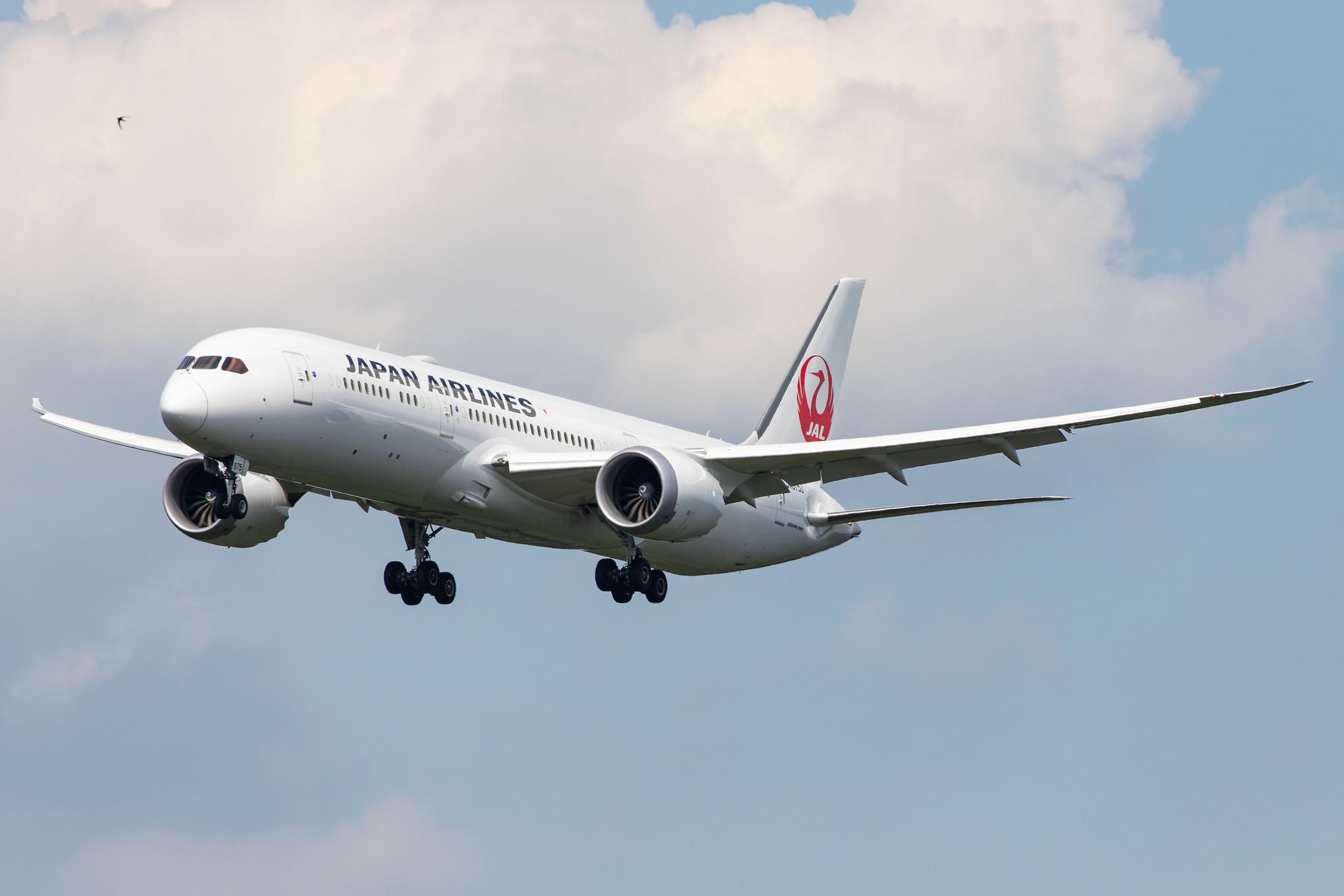 Frankfurt Airport: Japan Airlines (JL / JAL) |  Boeing 787-9 Dreamliner B789 | JA875J | MSN 38134