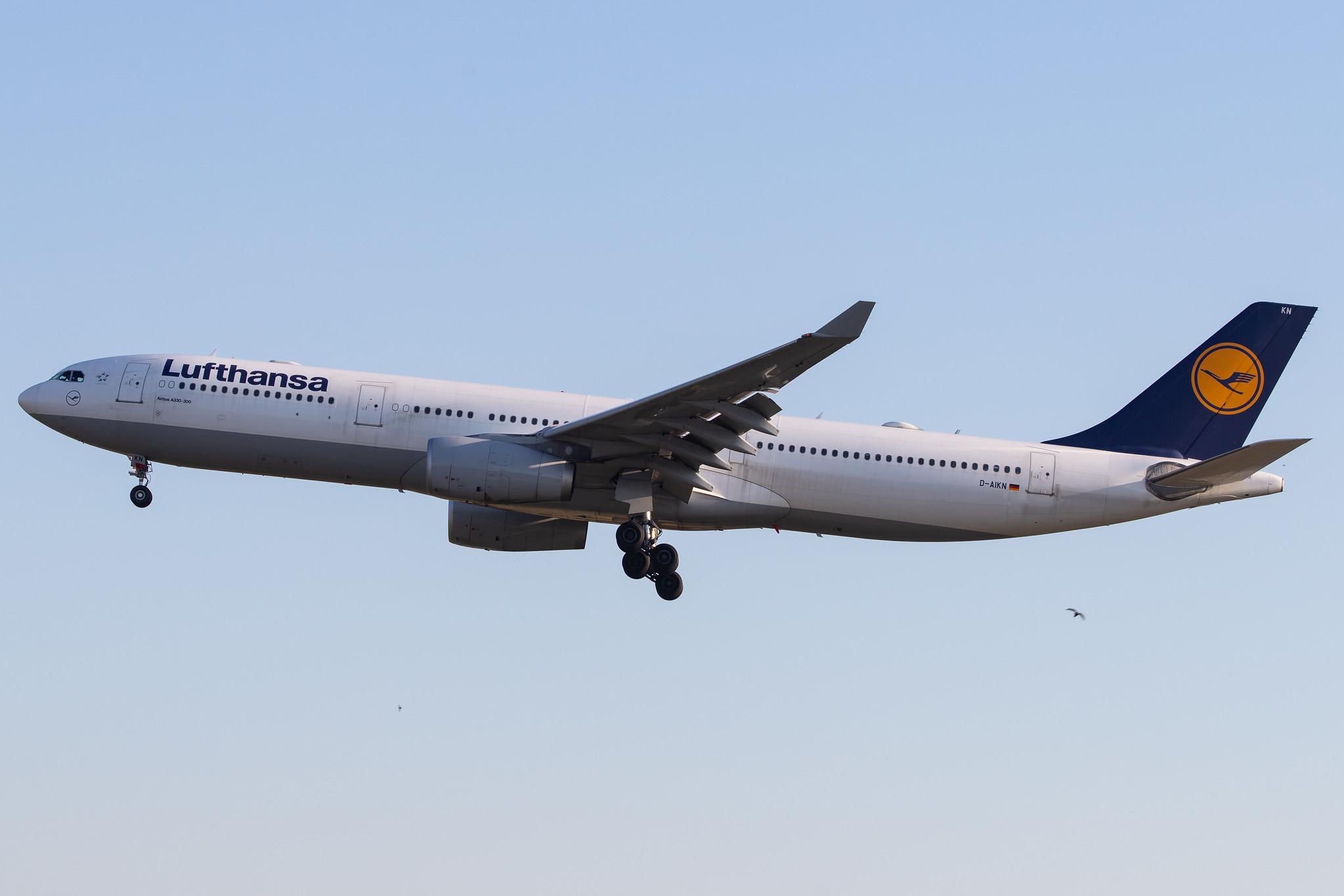 Frankfurt Airport: Lufthansa (LH / DLH) |  Airbus A330-343 A333 | D-AIKN | MSN 0922