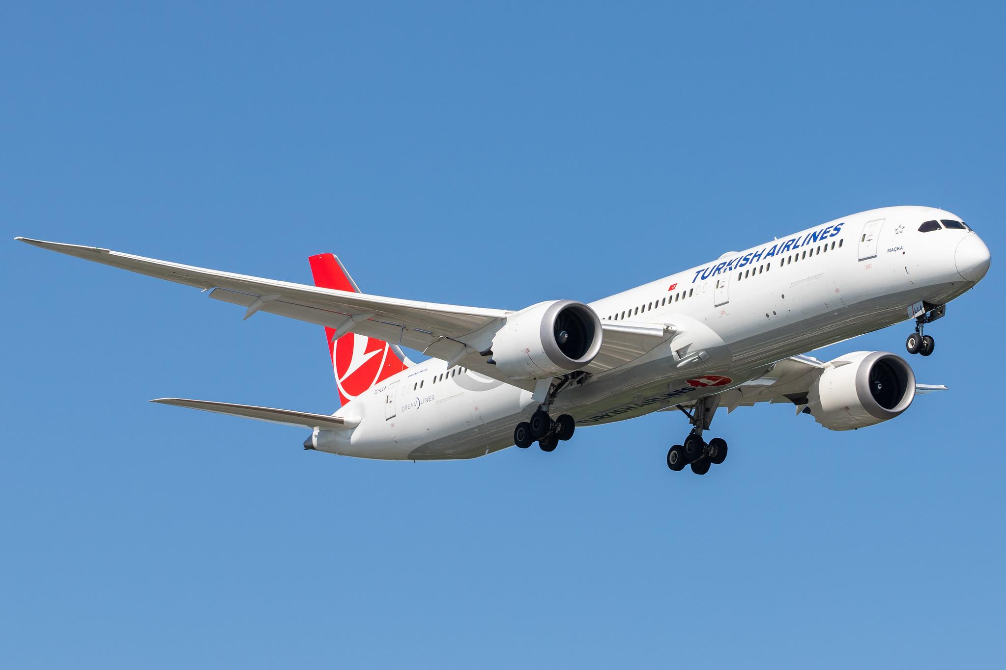 Hamburg Airport: Turkish Airlines (TK / THY) |  Boeing 787-9 Dreamliner B789 | TC-LLA | MSN 65801