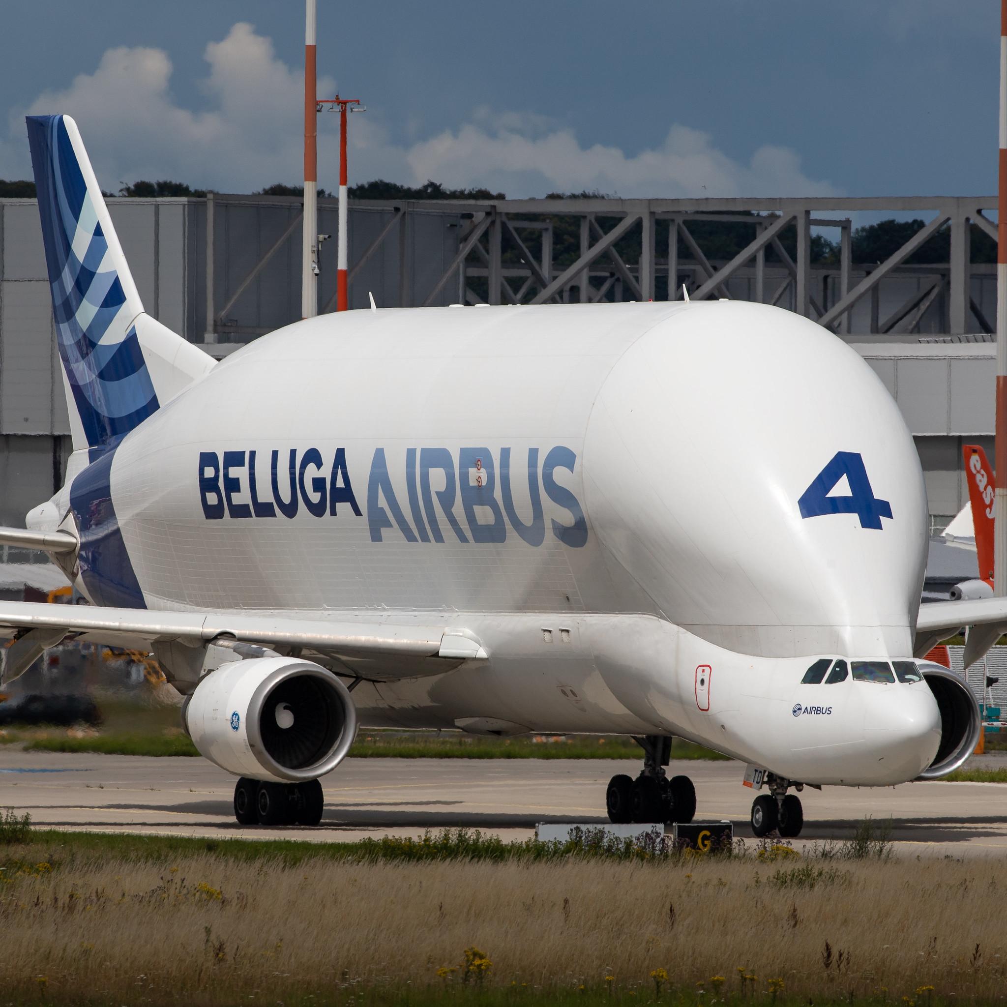 Hamburg Finkenwerder: Airbus Transport International (4Y / BGA) |  Airbus A300-608ST Beluga A3ST | F-GSTD | MSN 776