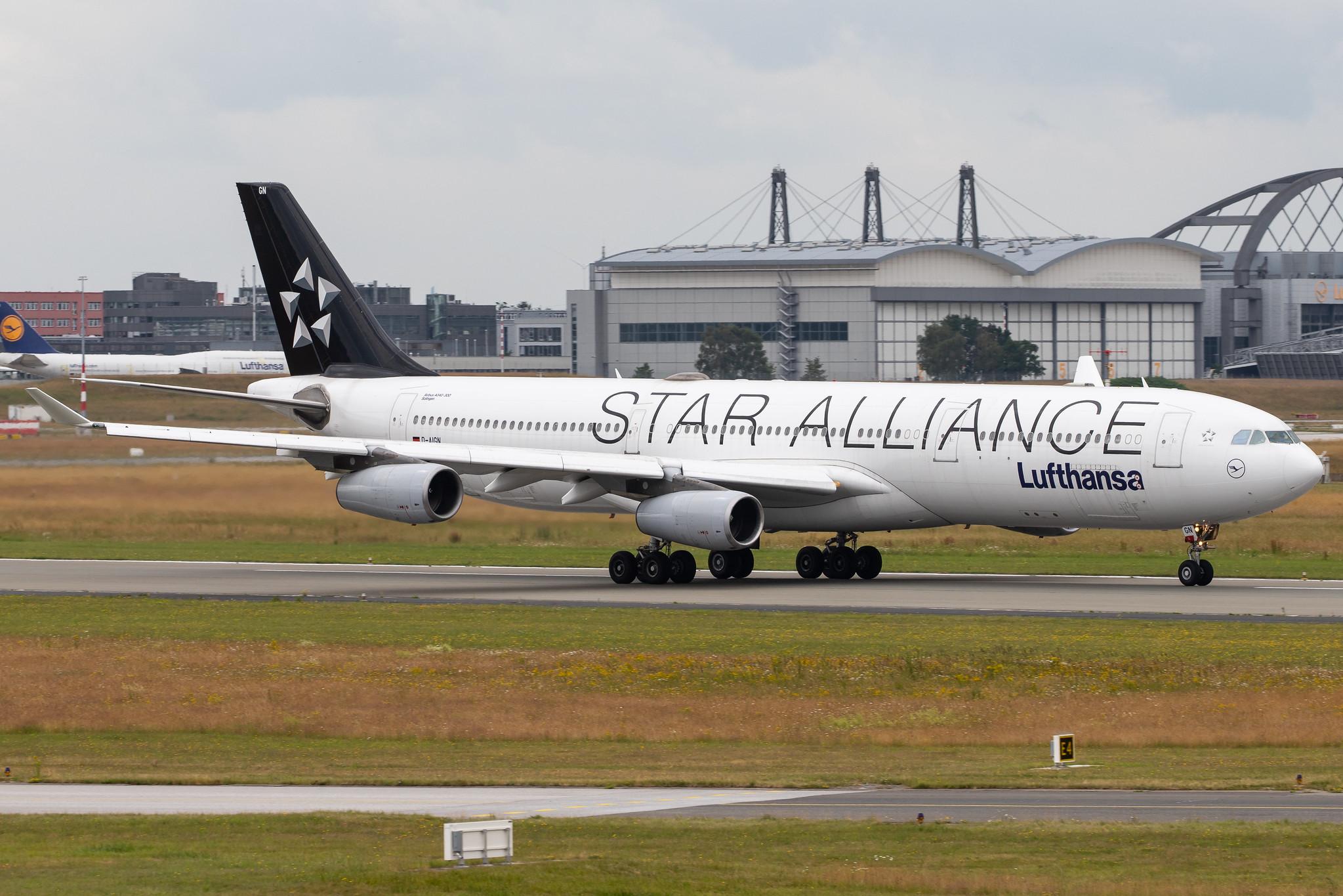 Hamburg Airport: Lufthansa (LH / DLH) |  Livery: Star Alliance Livery |  Airbus A340-313 A343 | D-AIGN | MSN 0213