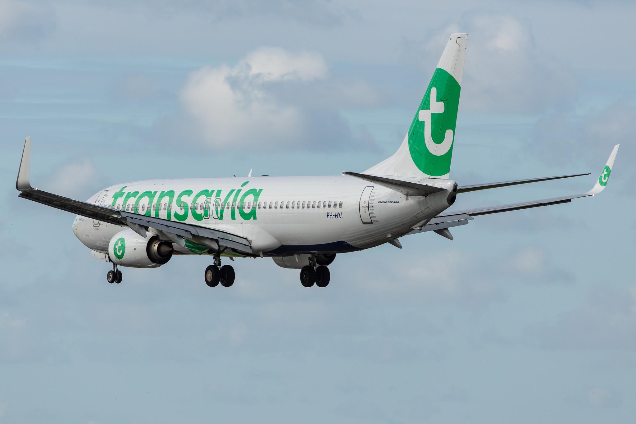Amsterdam Airport Schiphol: Transavia (HV / TRA) |  Boeing 737-8K2 B738 | PH-HXI | MSN 62151