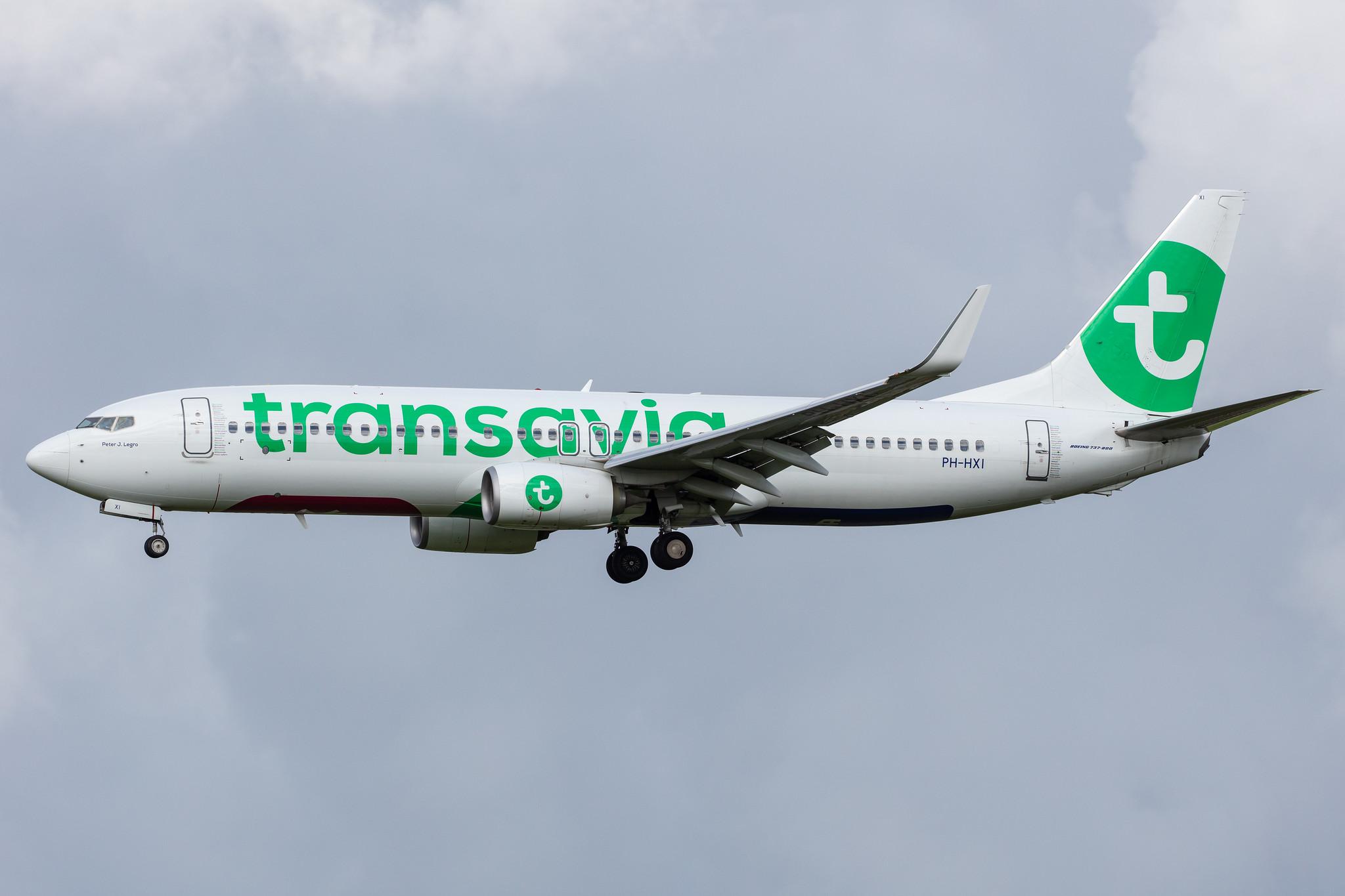 Amsterdam Airport Schiphol: Transavia (HV / TRA) |  Boeing 737-8K2 B738 | PH-HXI | MSN 62151