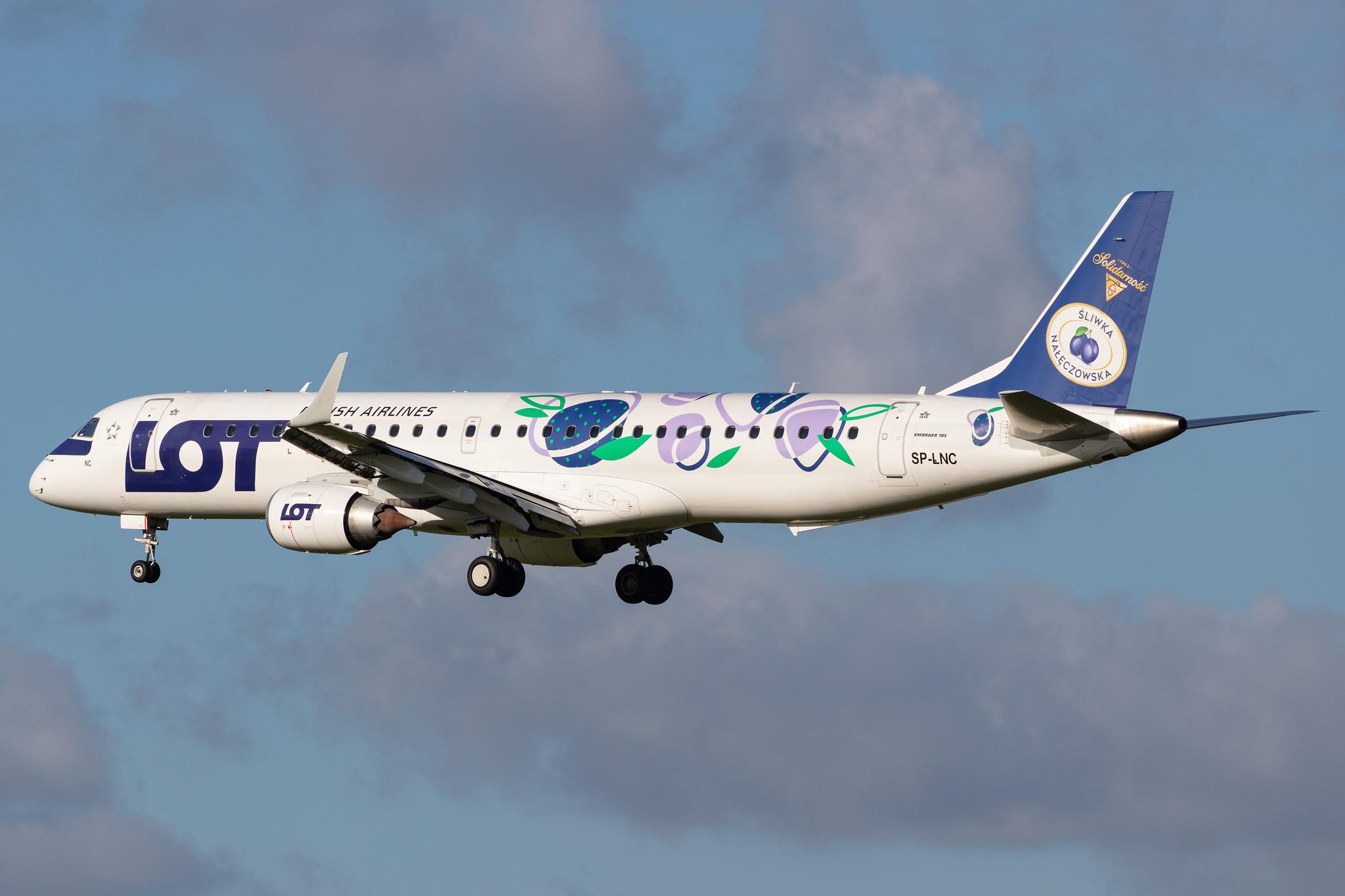 Amsterdam Airport Schiphol: LOT (LO / LOT) |  Livery: Sliwka Naleczowska Livery |  Embraer E195LR E195 | SP-LNC | MSN 19000462
