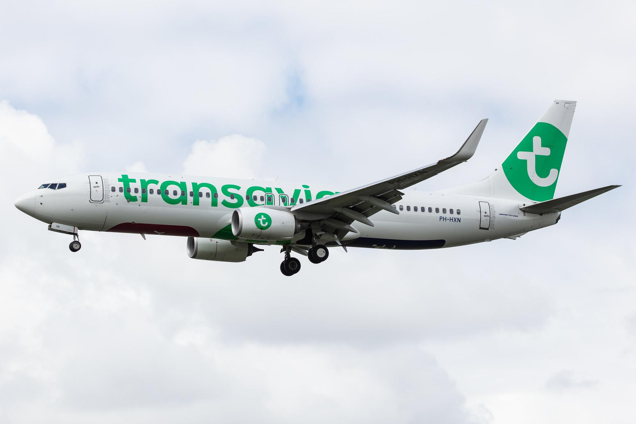 Amsterdam Airport Schiphol: Transavia (HV / TRA) |  Boeing 737-8K2 B738 | PH-HXN | MSN 63623
