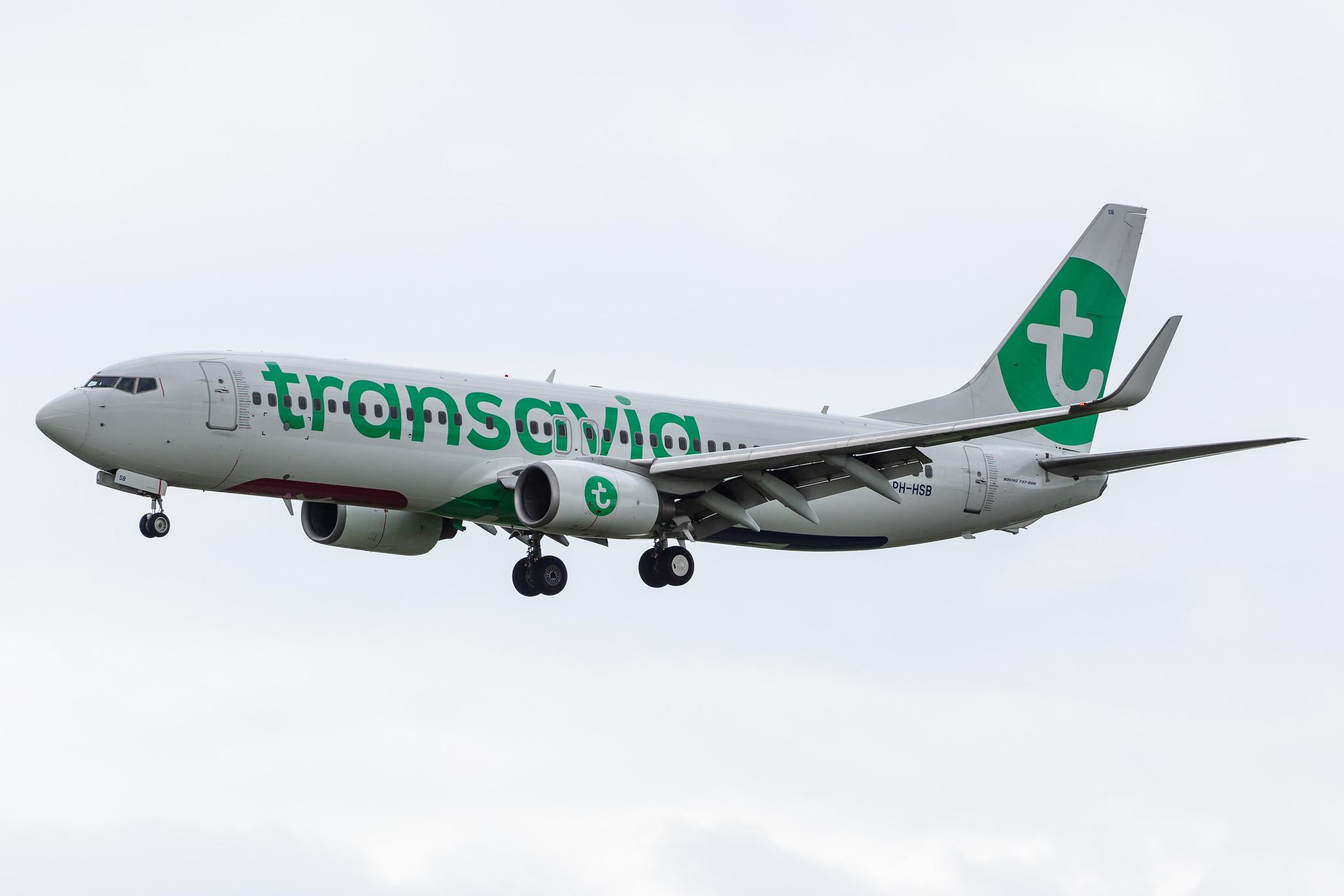 Amsterdam Airport Schiphol: Transavia (HV / TRA) |  Boeing 737-8K2 B738 | PH-HSB | MSN 34172