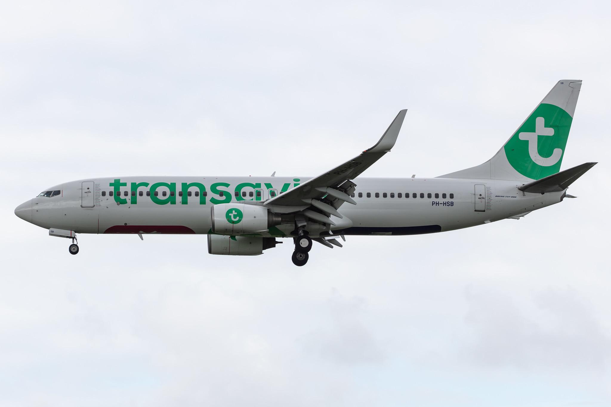 Amsterdam Airport Schiphol: Transavia (HV / TRA) |  Boeing 737-8K2 B738 | PH-HSB | MSN 34172