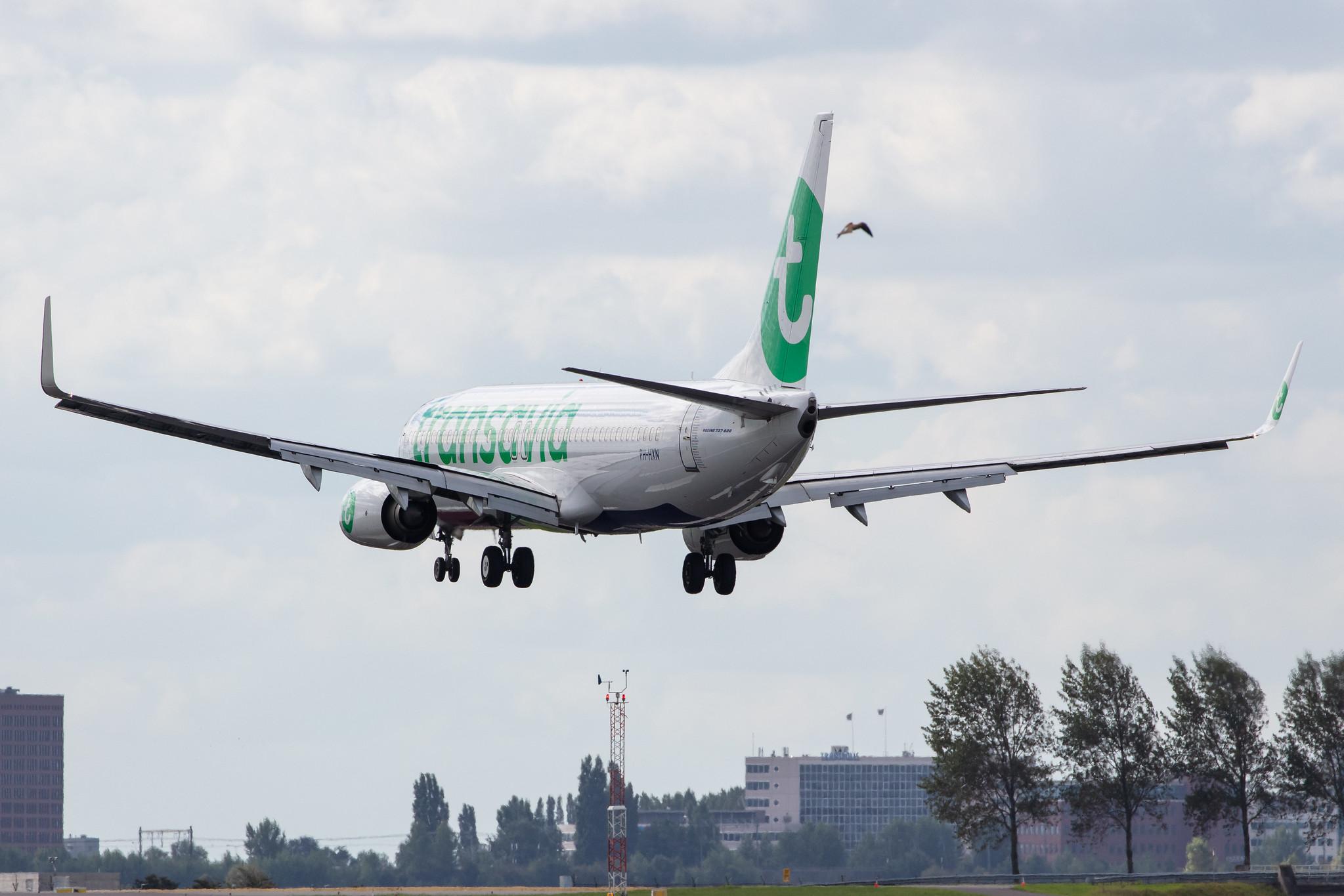 Amsterdam Airport Schiphol: Transavia (HV / TRA) |  Boeing 737-8K2 B738 | PH-HXN | MSN 63623