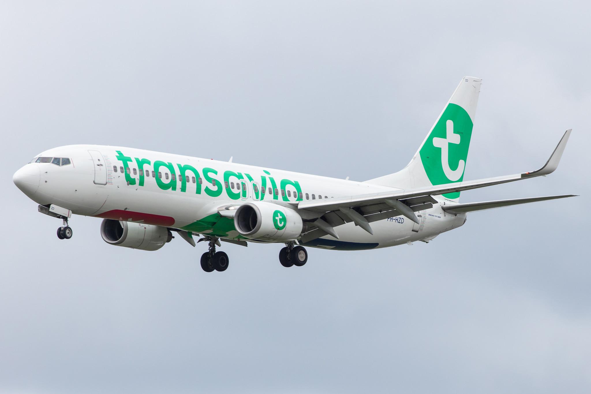 Amsterdam Airport Schiphol: Transavia (HV / TRA) |  Boeing 737-8K2 B738 | PH-HZD | MSN 28376