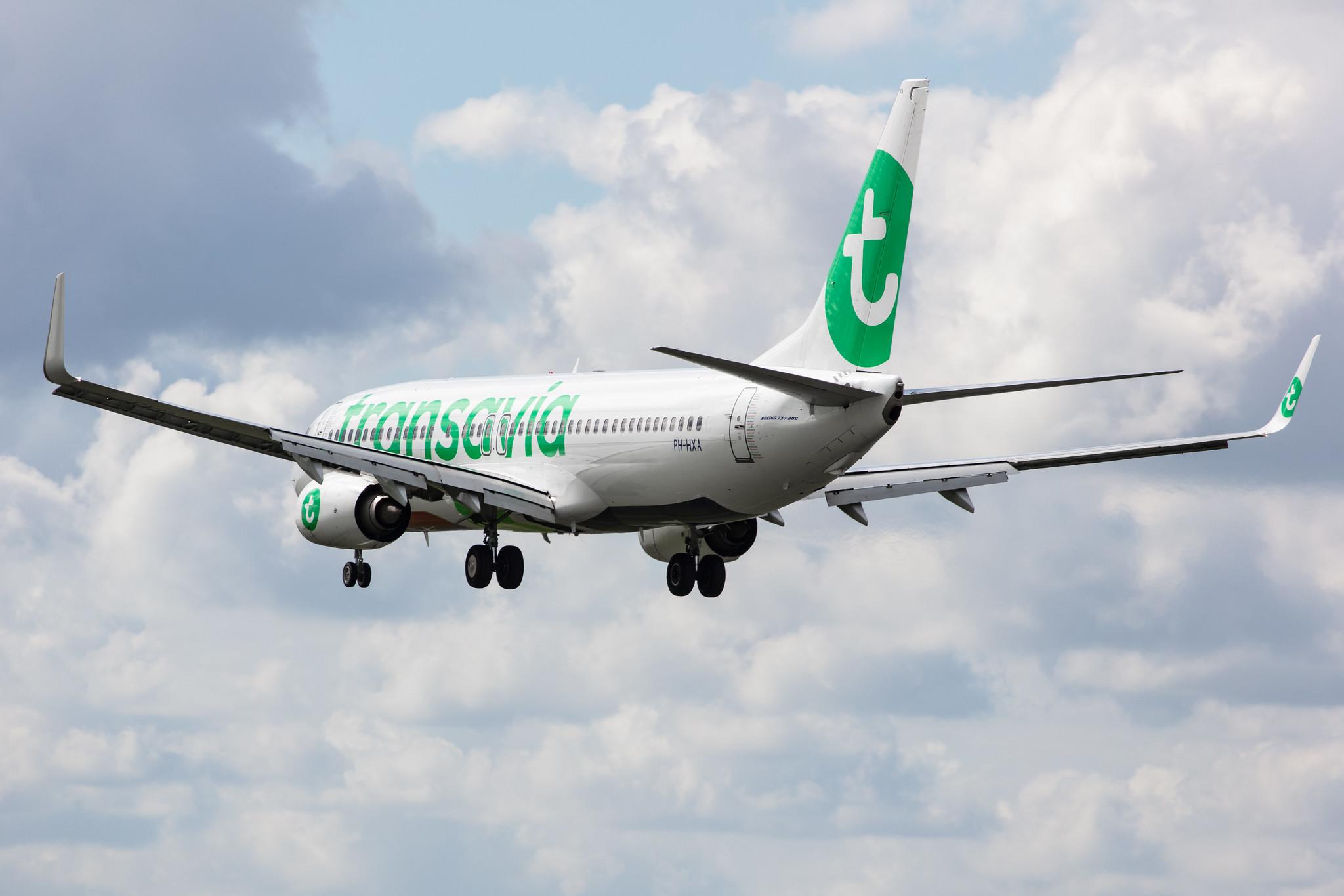Amsterdam Airport Schiphol: Transavia (HV / TRA) |  Boeing 737-8K2 B738 | PH-HXA | MSN 62149