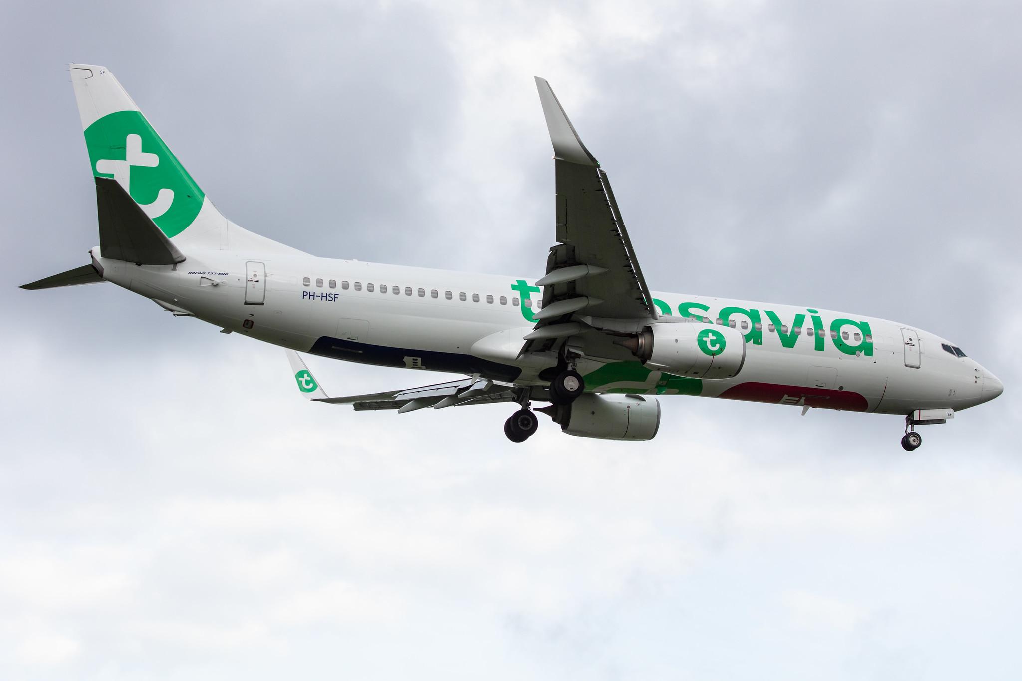 Amsterdam Airport Schiphol: Transavia (HV / TRA) |  Boeing 737-8K2 B738 | PH-HSF | MSN 39261