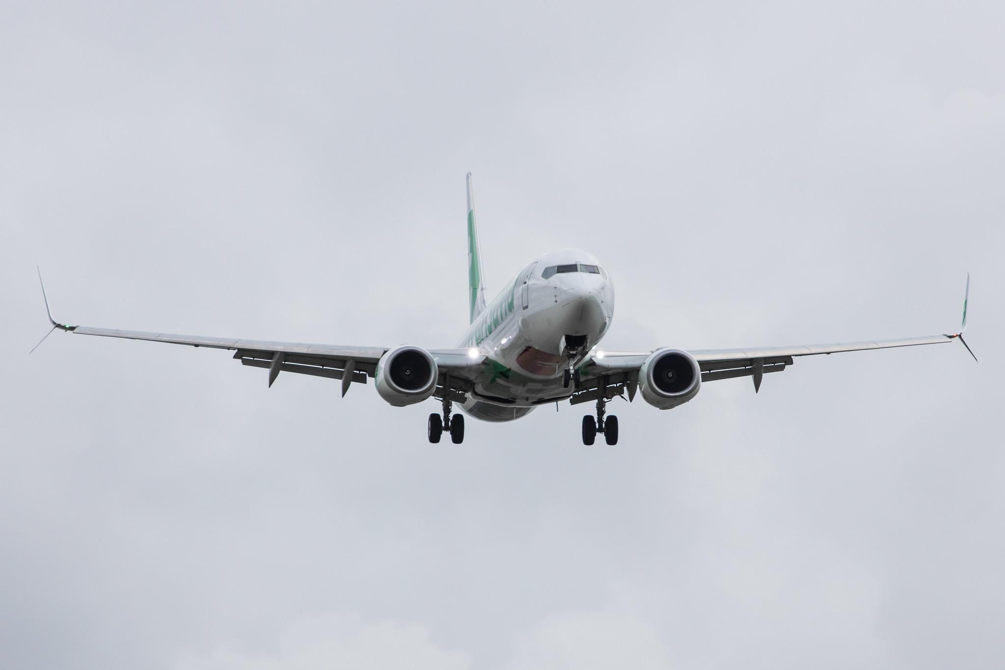 Amsterdam Airport Schiphol: Transavia (HV / TRA) |  Boeing 737-8K2 B738 | PH-HSM | MSN 42067