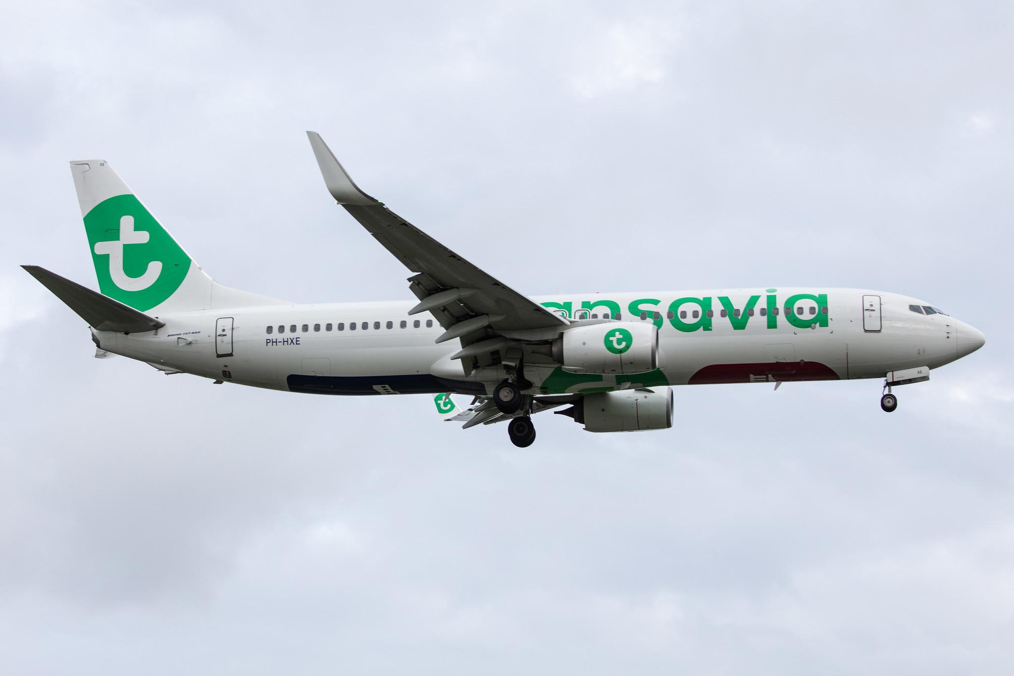 Amsterdam Airport Schiphol: Transavia (HV / TRA) |  Boeing 737-8K2 B738 | PH-HXE | MSN 61790