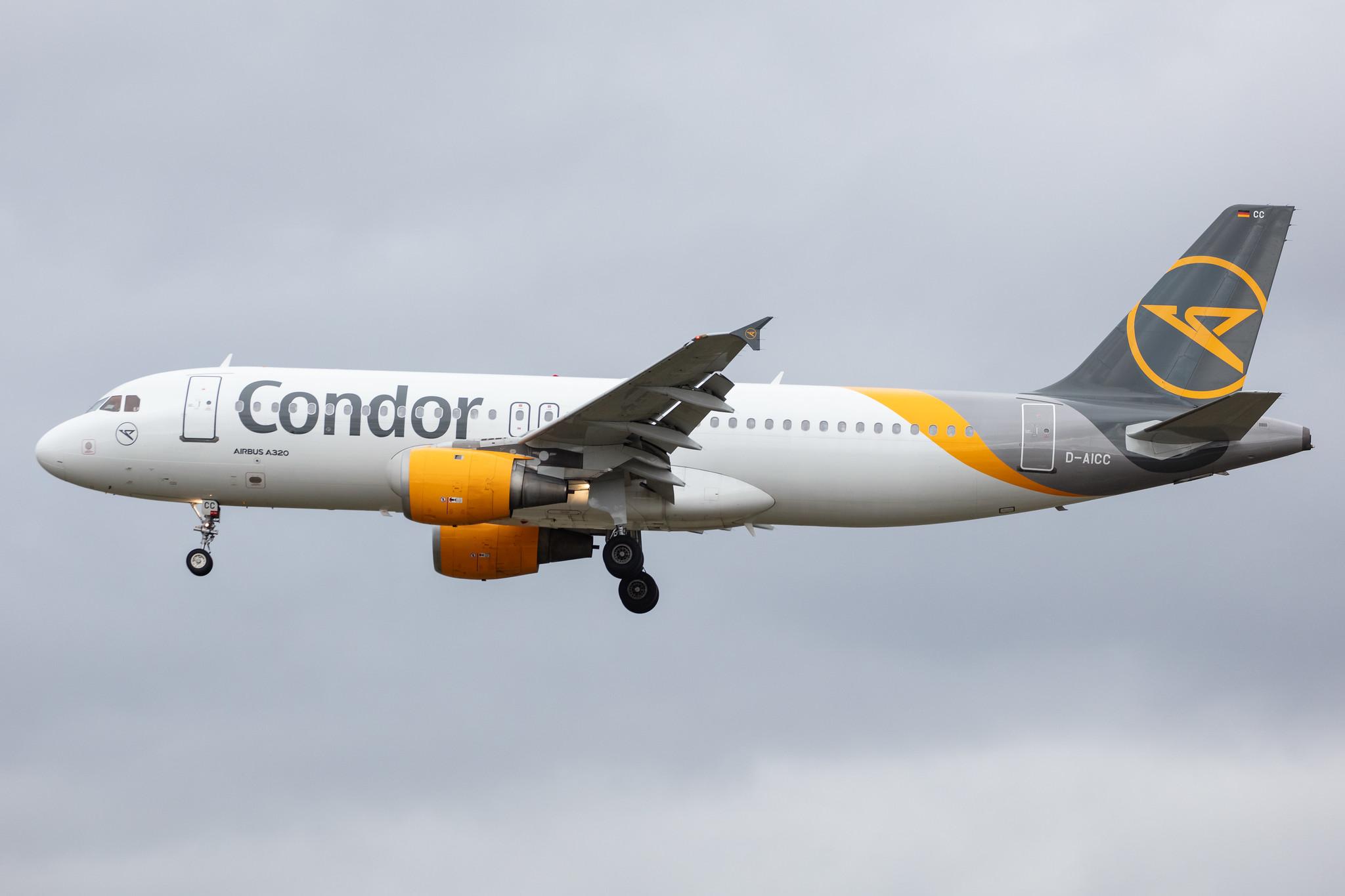 Frankfurt Airport: Condor (DE / CFG) |  Airbus A320-212 A320 | D-AICC | MSN 0809