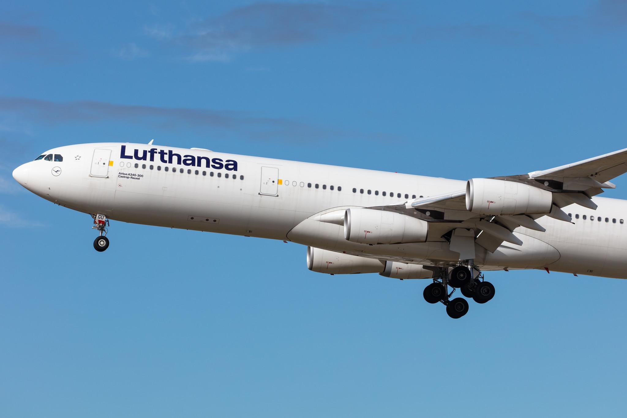 Frankfurt Airport: Lufthansa (LH / DLH) |  Airbus A340-313 A343 | D-AIGU | MSN 0321