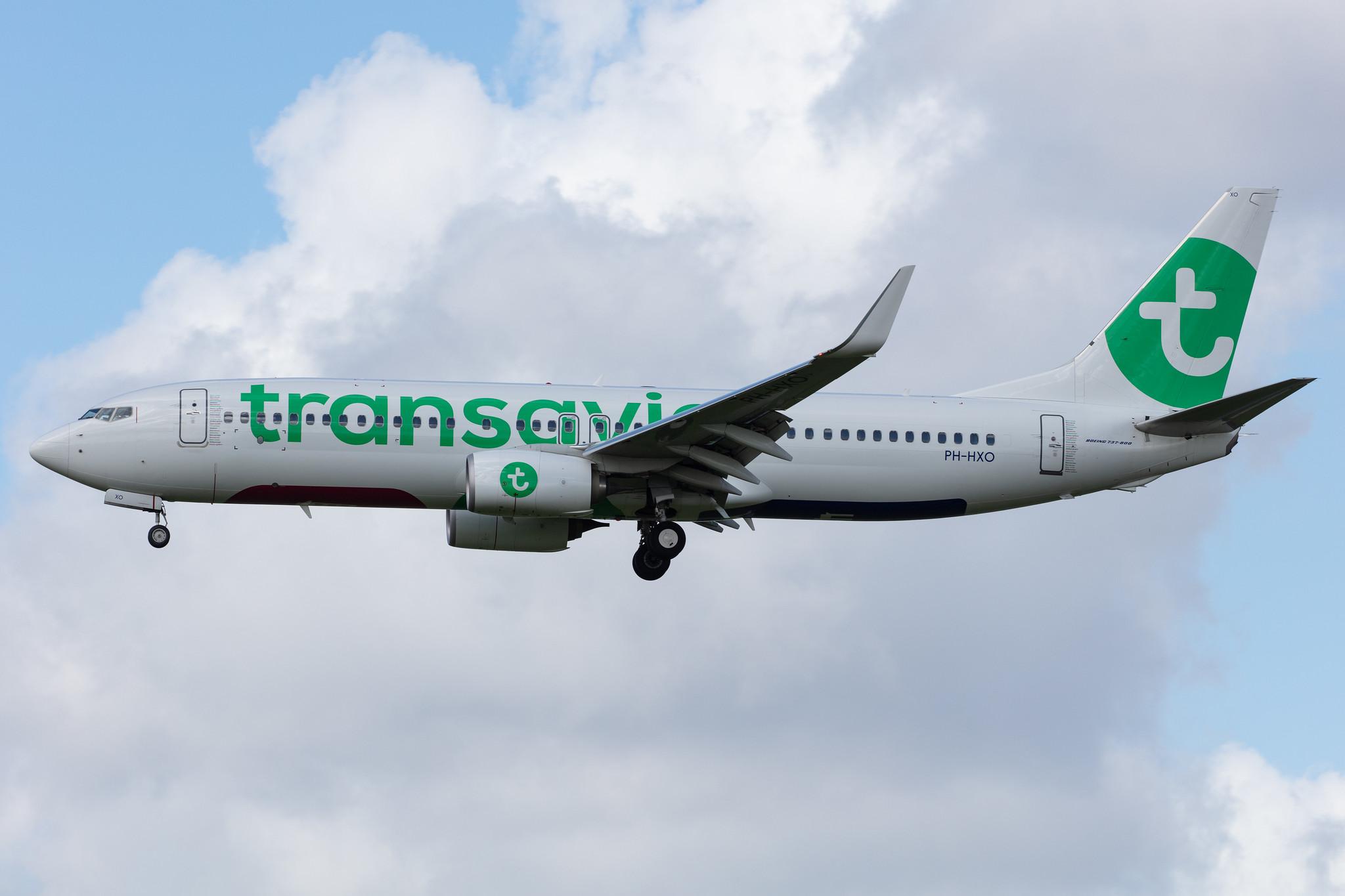 Amsterdam Airport Schiphol: Transavia (HV / TRA) |  Boeing 737-8K2 B738 | PH-HXO | MSN 62577
