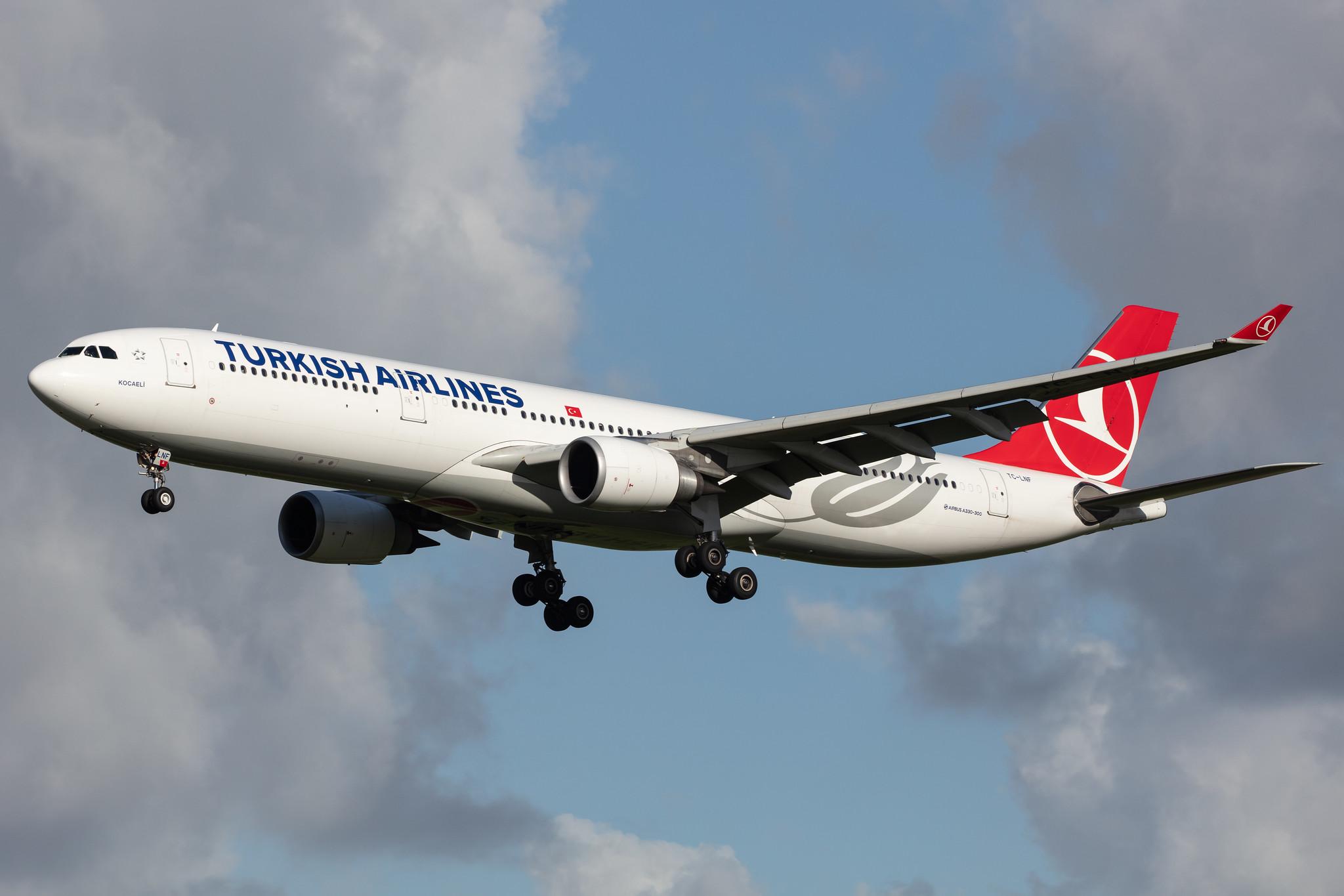 Amsterdam Airport Schiphol: Turkish Airlines (TK / THY) |  Airbus A330-303 A333 | TC-LNF | MSN 1713